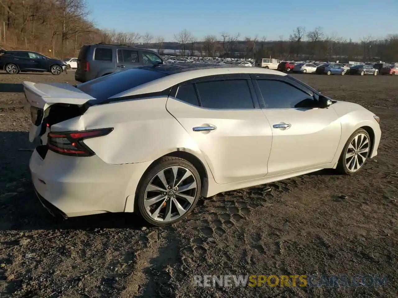 3 Photograph of a damaged car 1N4AA6FV6PC513856 NISSAN MAXIMA 2023