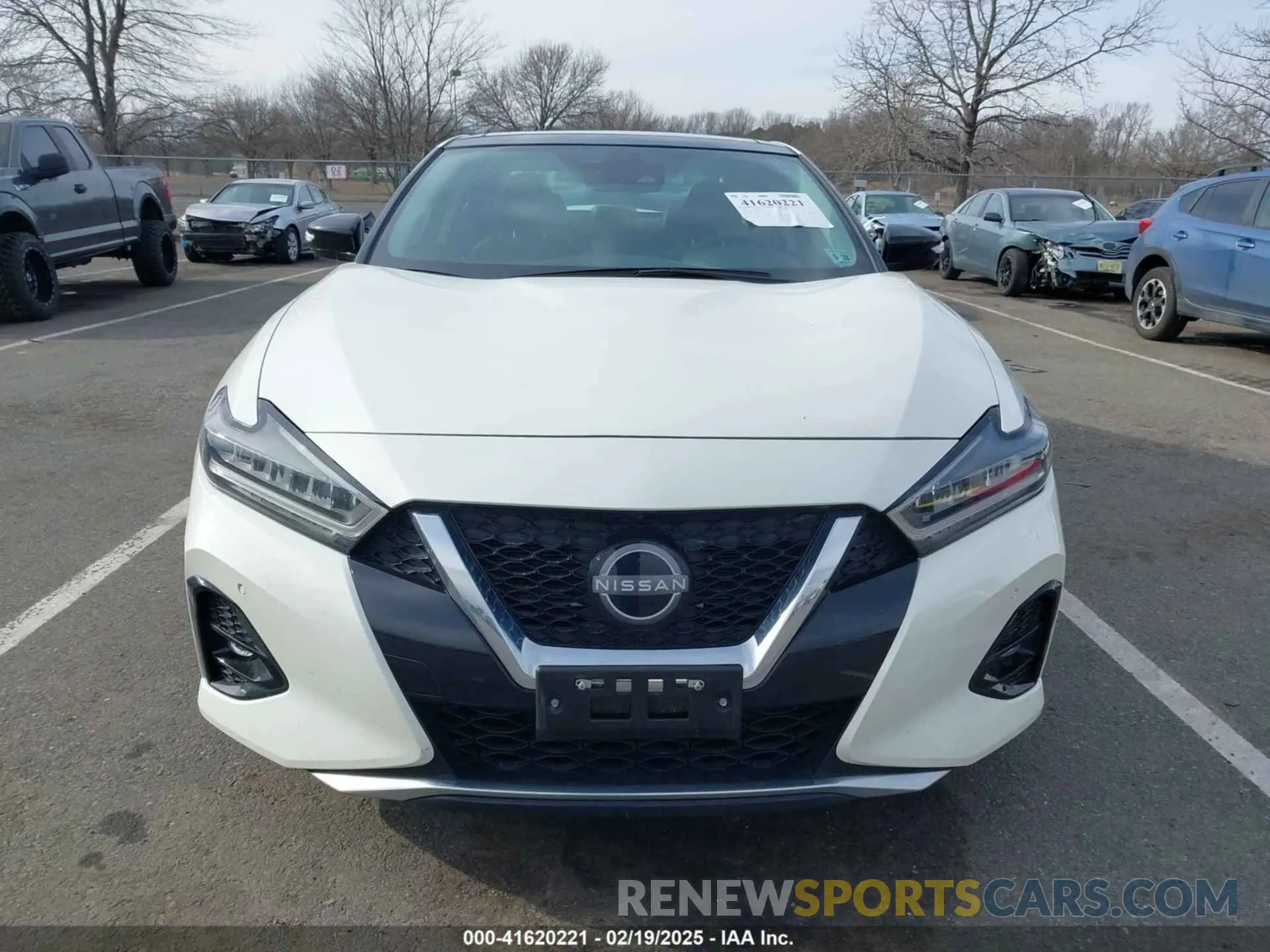 12 Photograph of a damaged car 1N4AA6FV8PC504740 NISSAN MAXIMA 2023