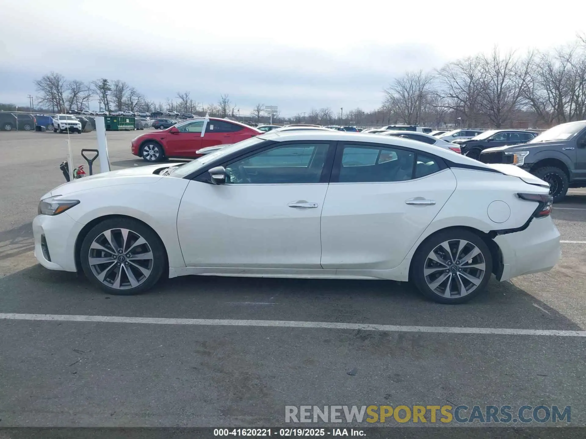 14 Photograph of a damaged car 1N4AA6FV8PC504740 NISSAN MAXIMA 2023