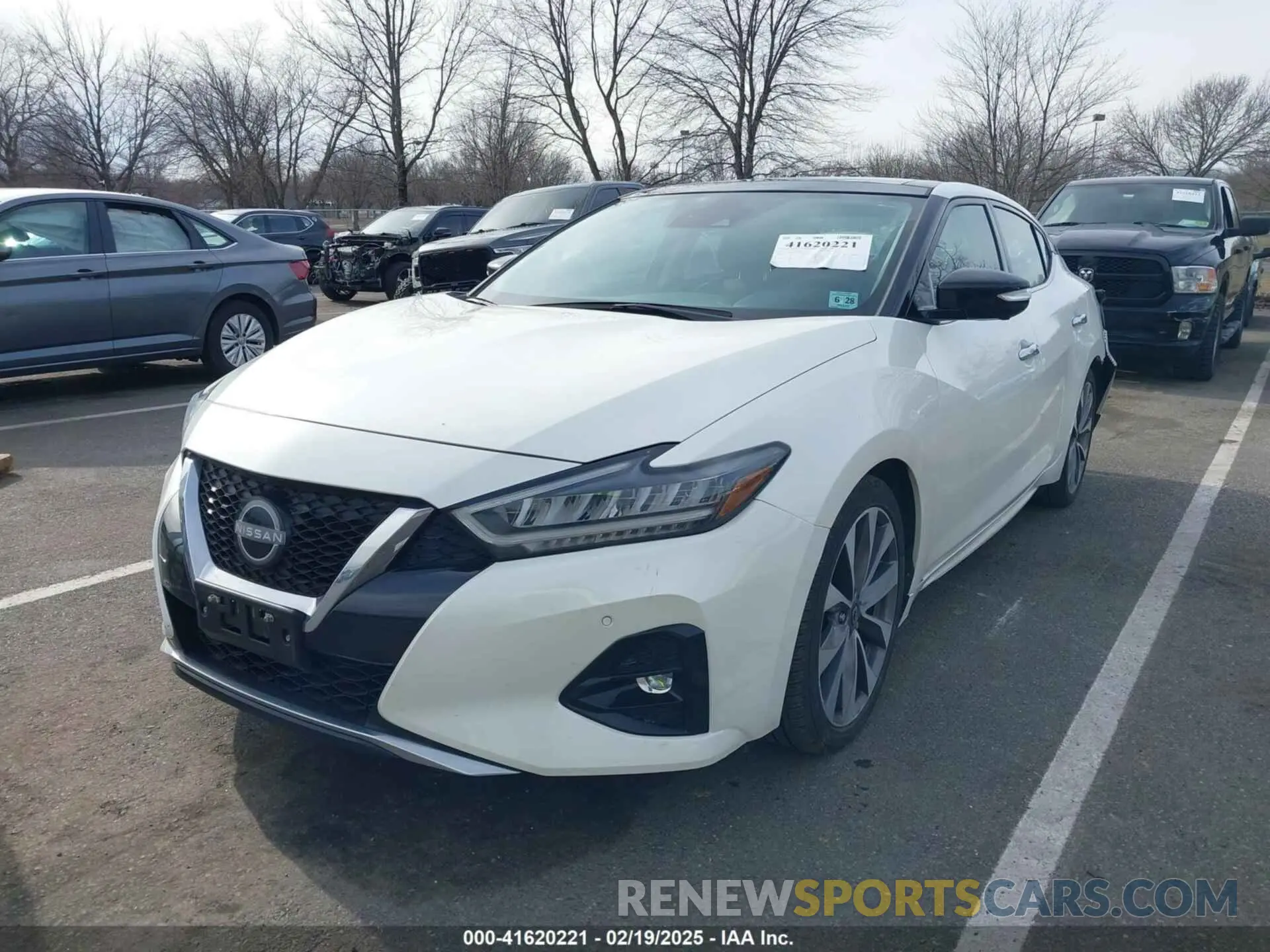 2 Photograph of a damaged car 1N4AA6FV8PC504740 NISSAN MAXIMA 2023