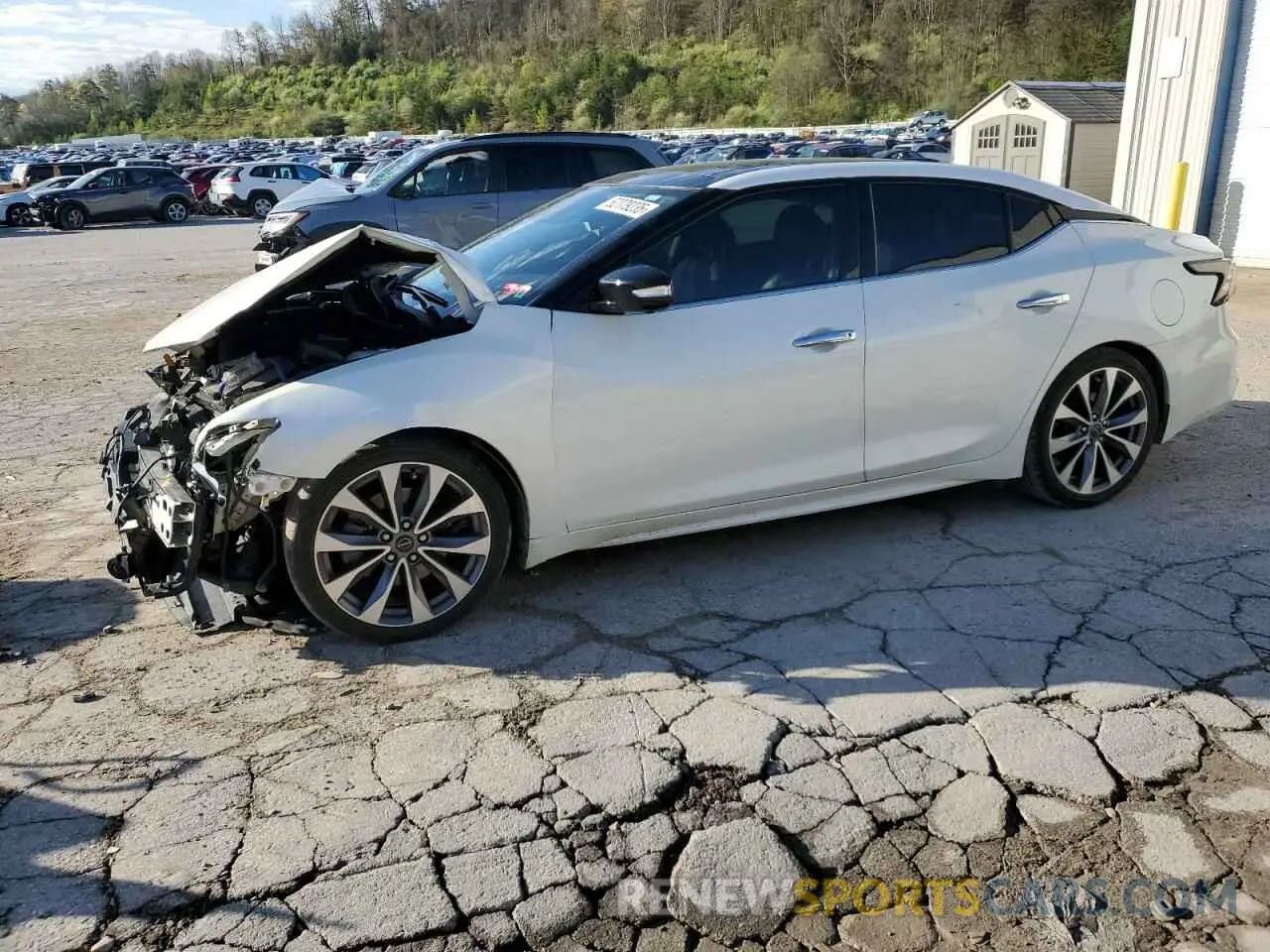 1 Photograph of a damaged car 1N4AA6FVXPC504805 NISSAN MAXIMA 2023