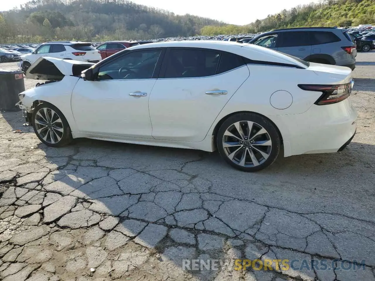 2 Photograph of a damaged car 1N4AA6FVXPC504805 NISSAN MAXIMA 2023