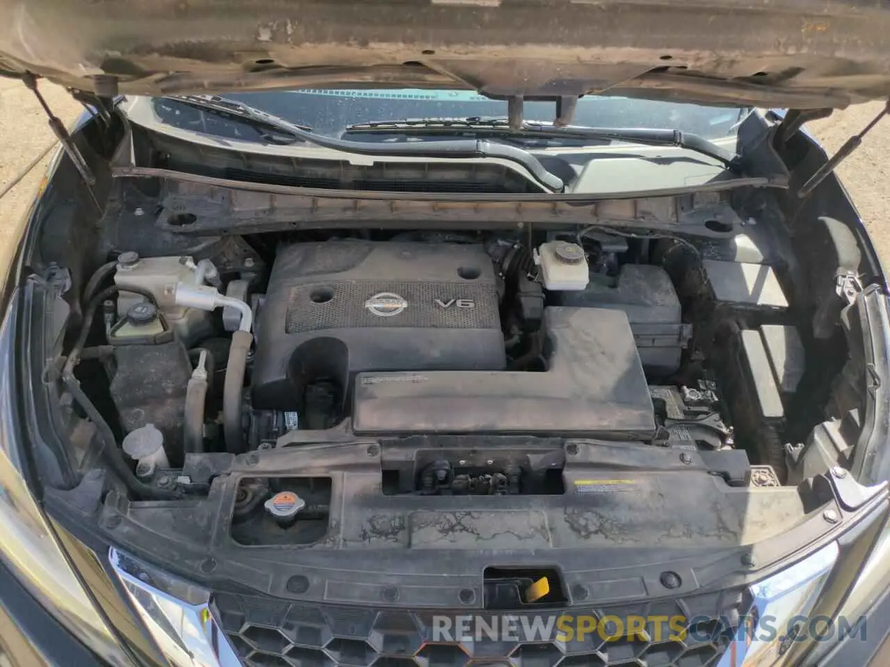 12 Photograph of a damaged car 5N1AZ2MS5KN135591 NISSAN MURANO 2019