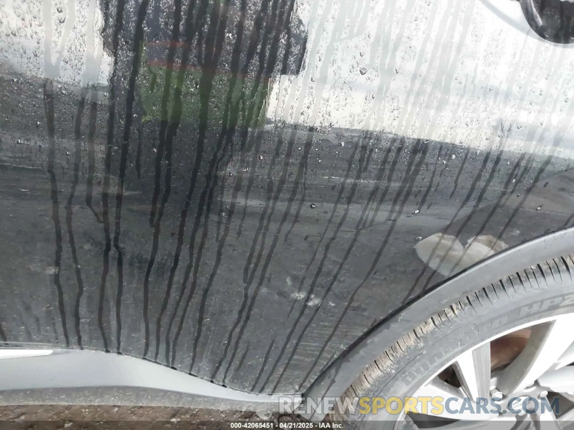 17 Photograph of a damaged car 5N1AZ2MS5KN142508 NISSAN MURANO 2019