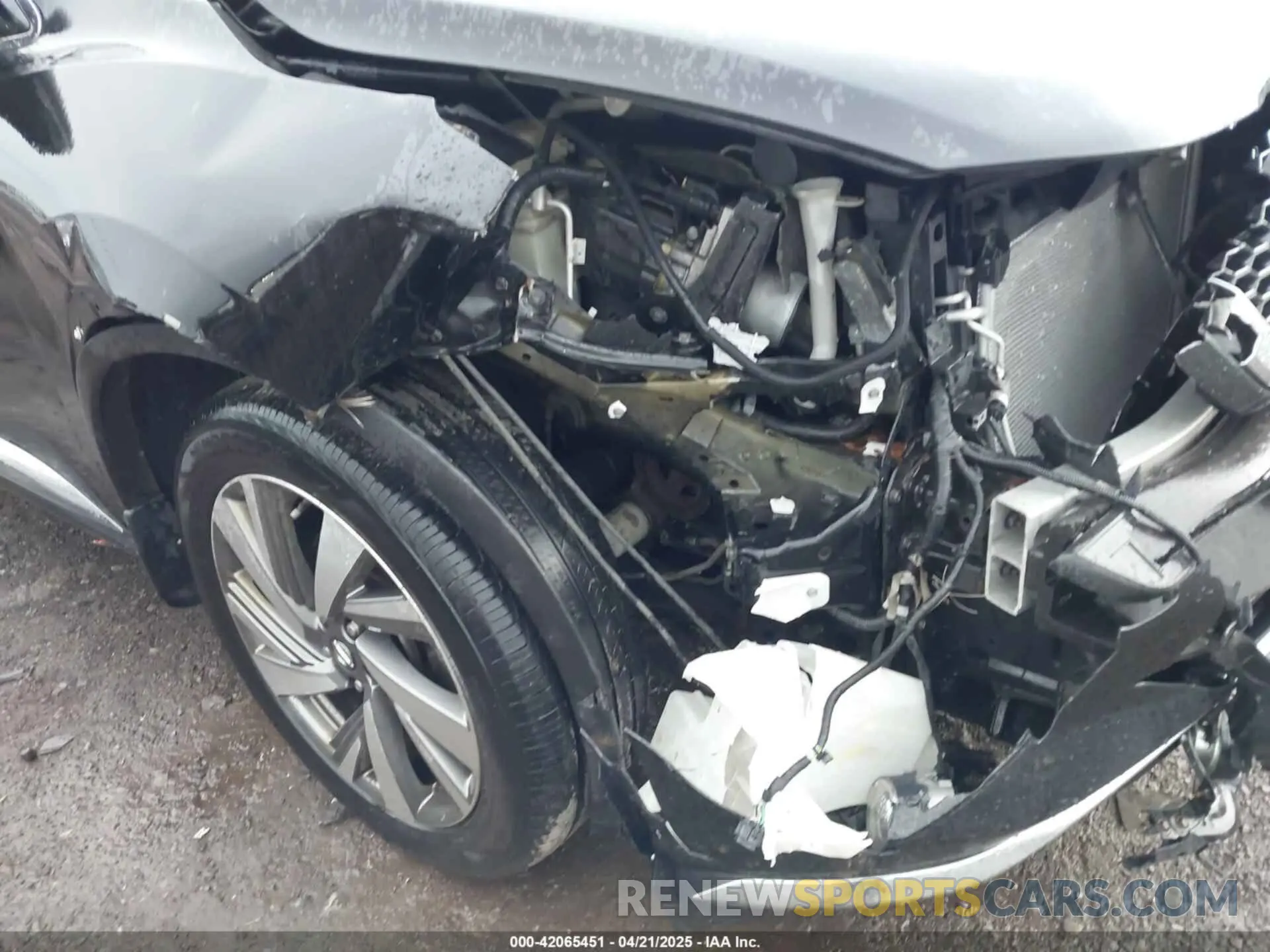 6 Photograph of a damaged car 5N1AZ2MS5KN142508 NISSAN MURANO 2019