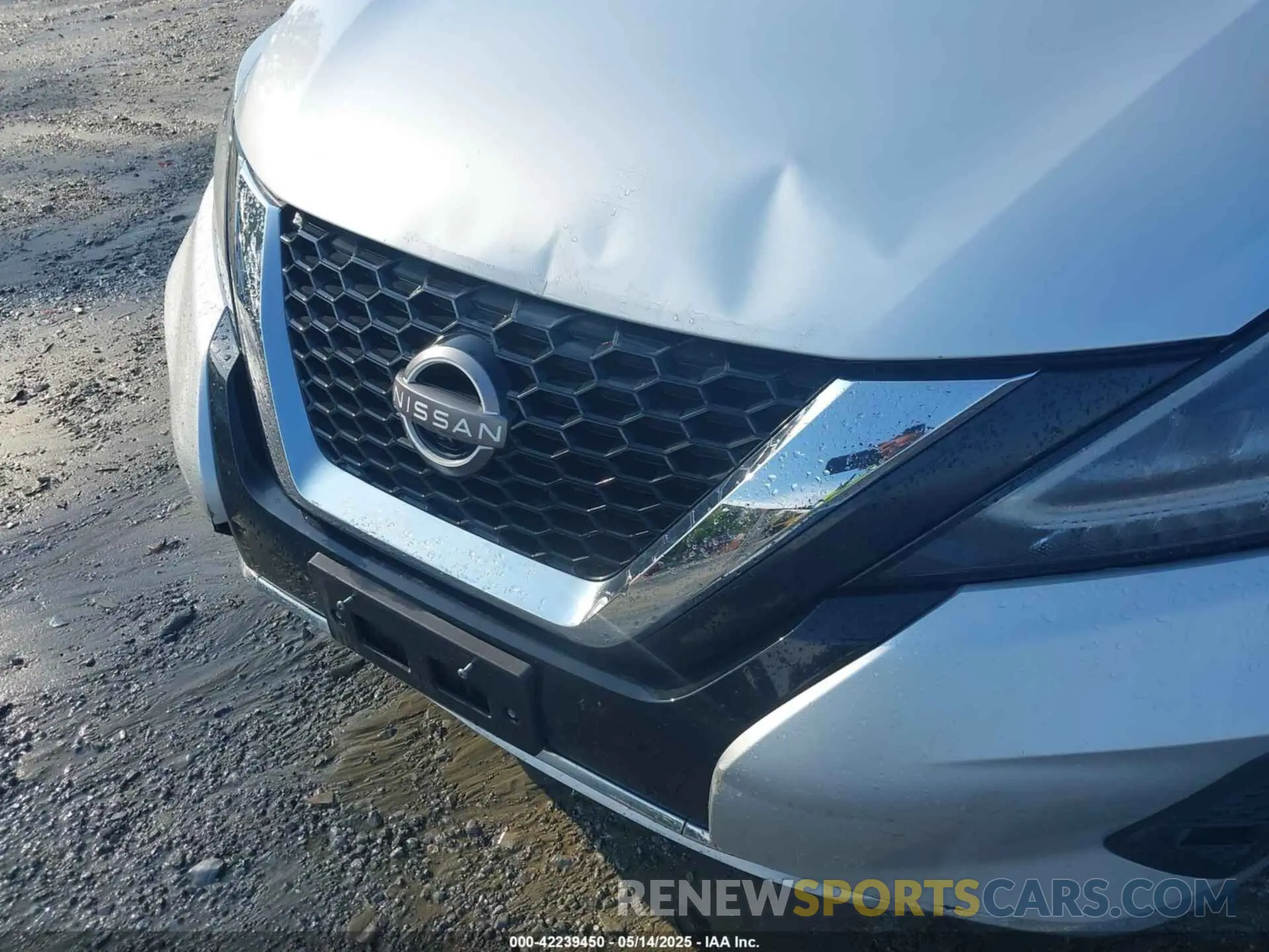 6 Photograph of a damaged car 5N1AZ2CJ6PC131299 NISSAN MURANO 2023