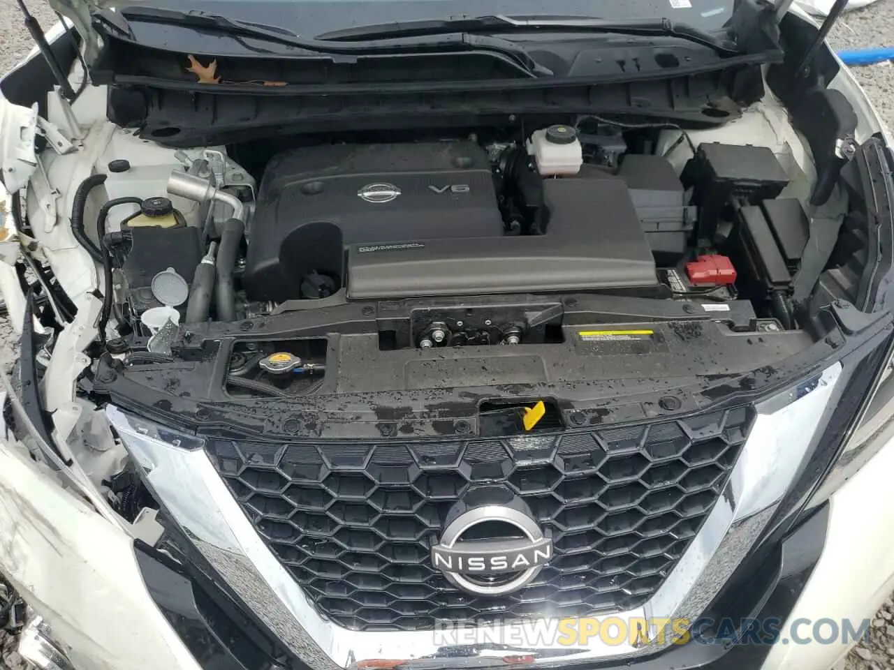 12 Photograph of a damaged car 5N1AZ2DJ8PC132890 NISSAN MURANO 2023