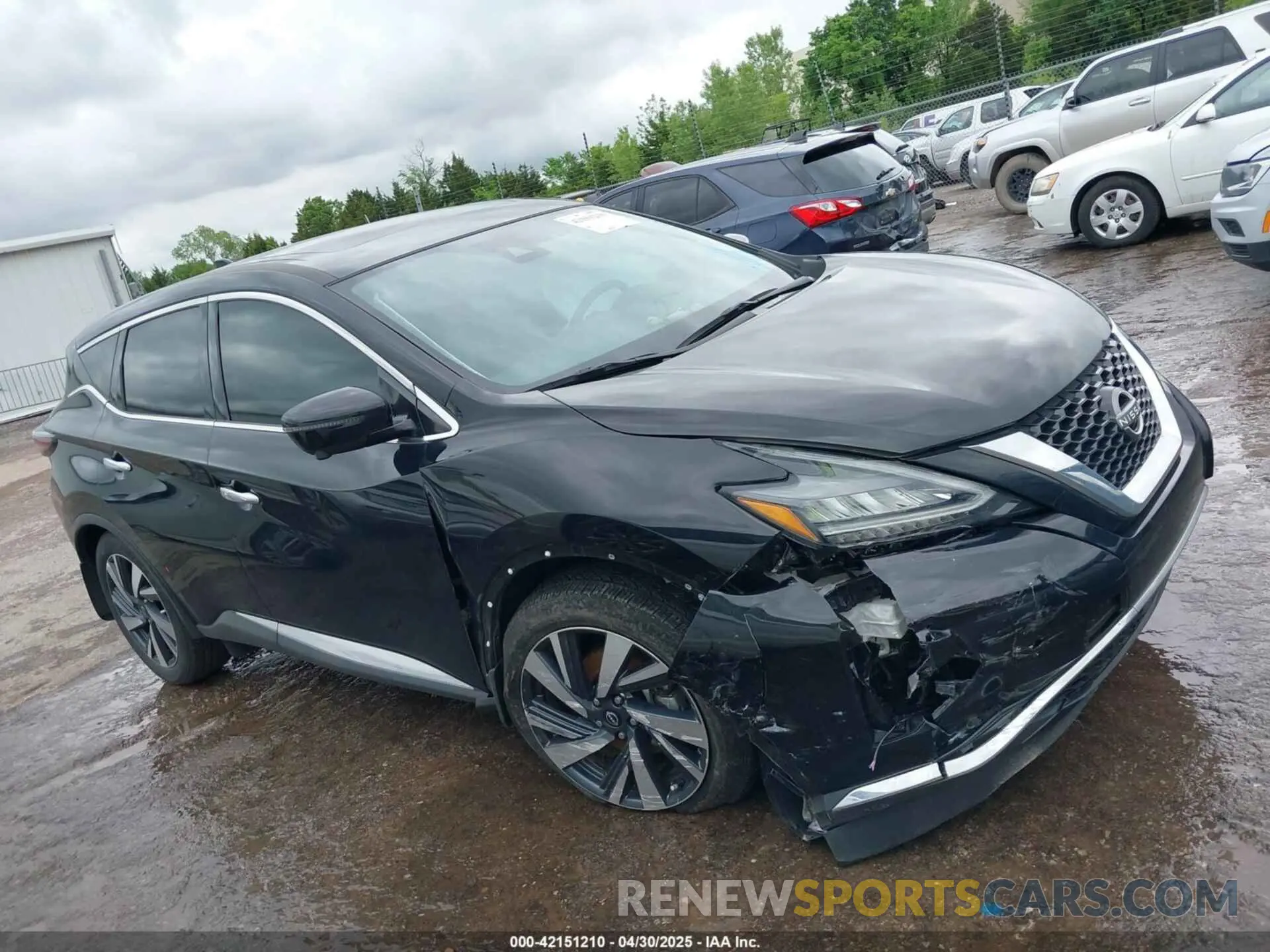 13 Photograph of a damaged car 5N1AZ2CJ7RC124011 NISSAN MURANO 2024