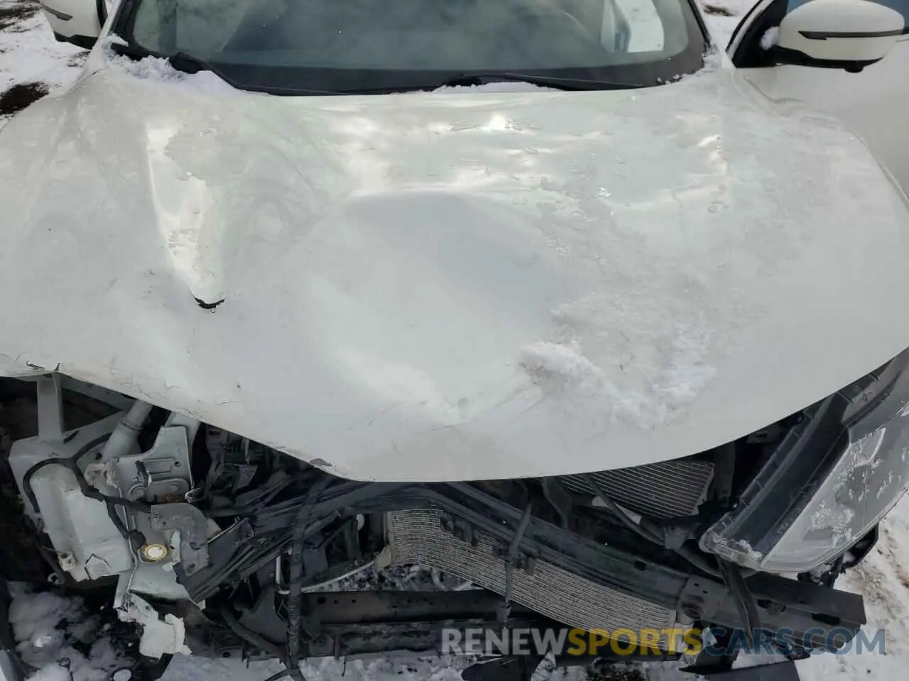 12 Photograph of a damaged car JN1BJ1CR6KW331125 NISSAN QASHAI SPR 2019