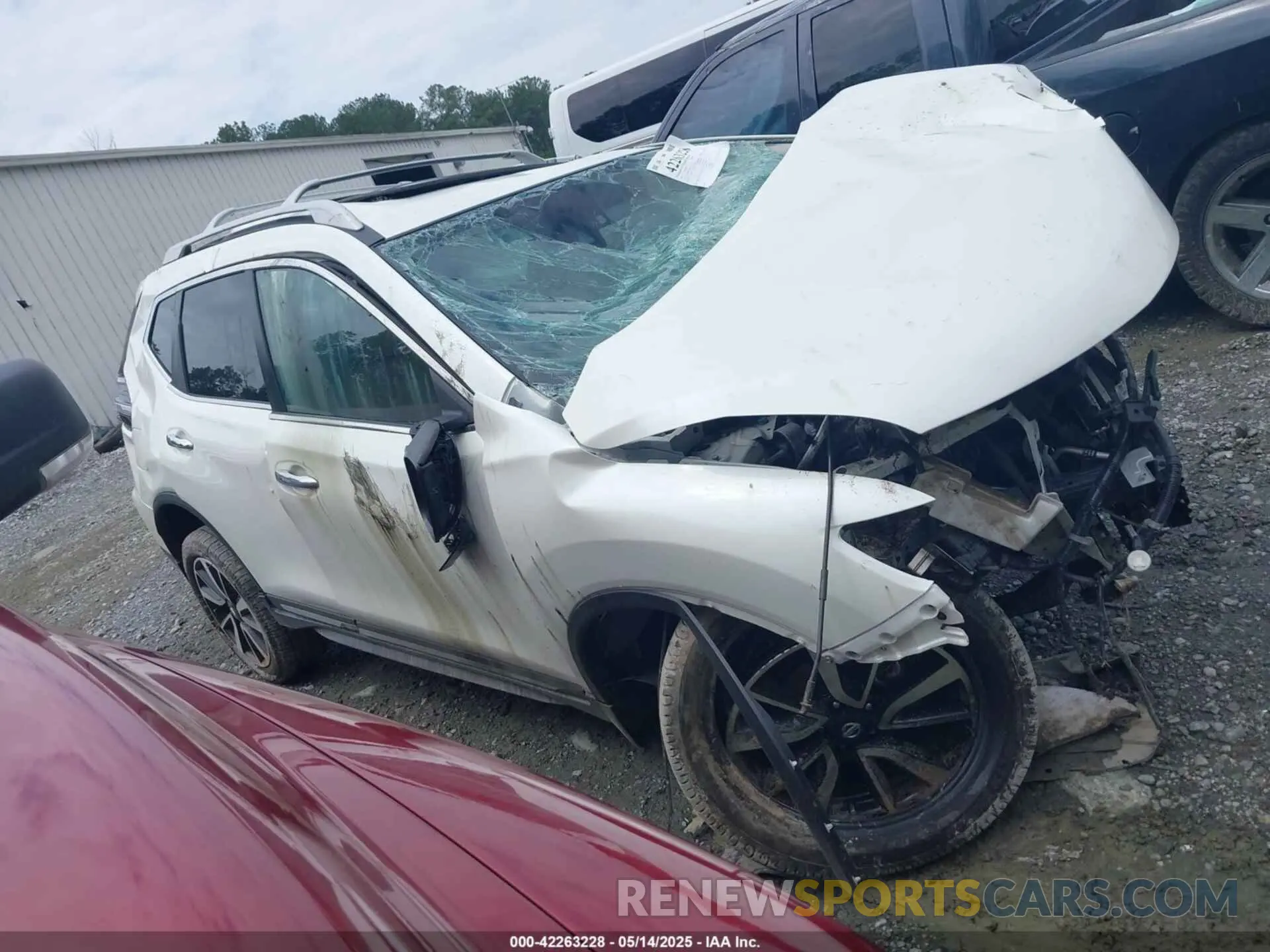 12 Photograph of a damaged car 5N1AT2MT3KC816547 NISSAN ROGUE 2019