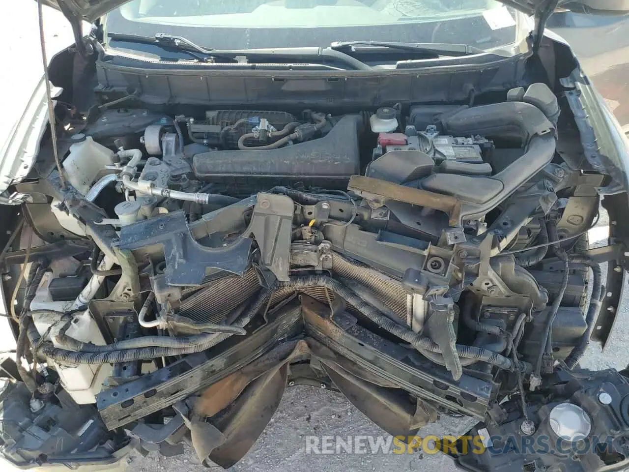 14 Photograph of a damaged car 5N1AT2MT4KC767634 NISSAN ROGUE 2019