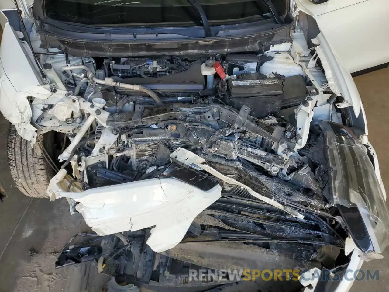 14 Photograph of a damaged car 5N1AT2MT6KC799257 NISSAN ROGUE 2019