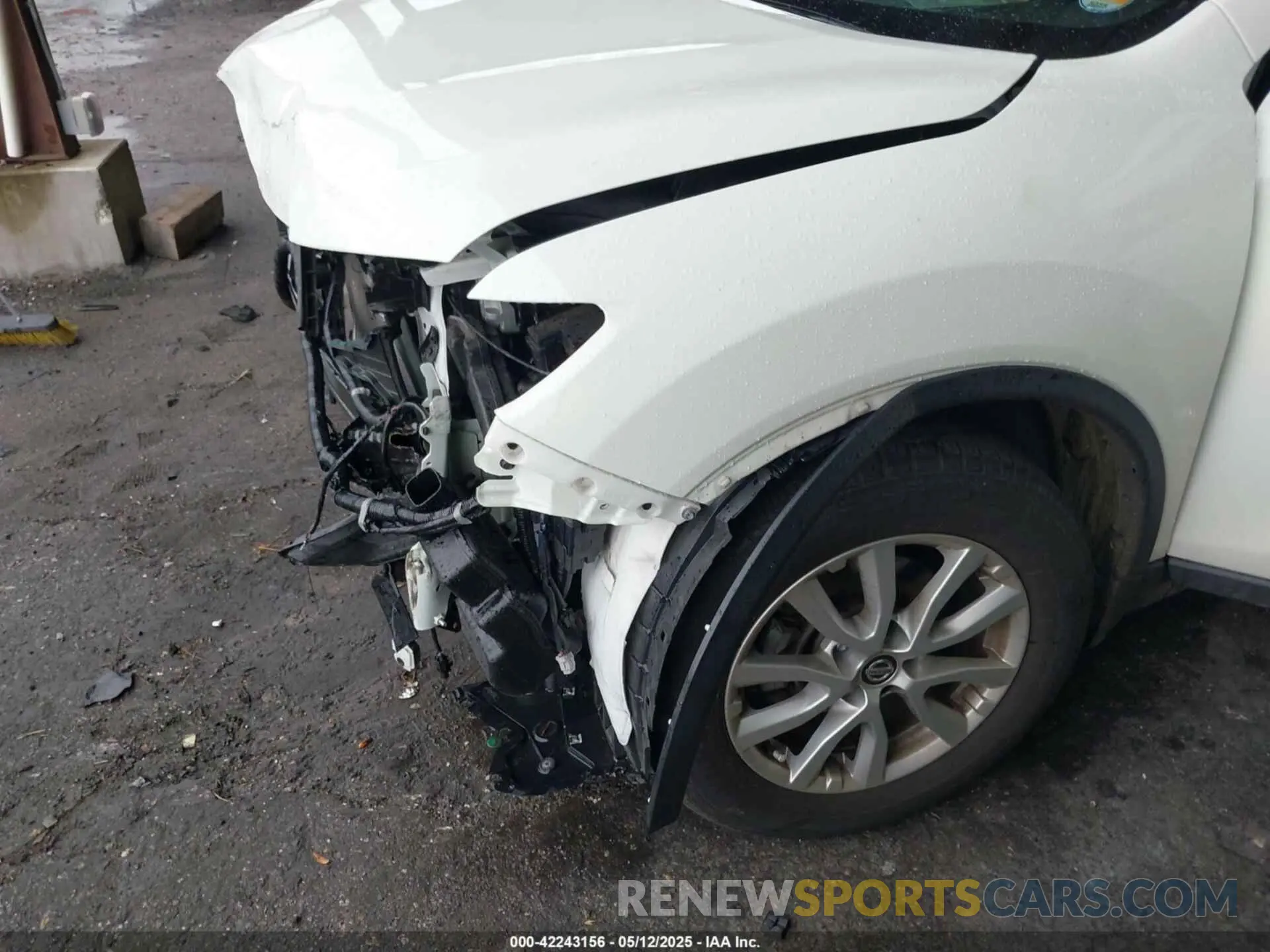 6 Photograph of a damaged car 5N1AT2MT7KC844450 NISSAN ROGUE 2019