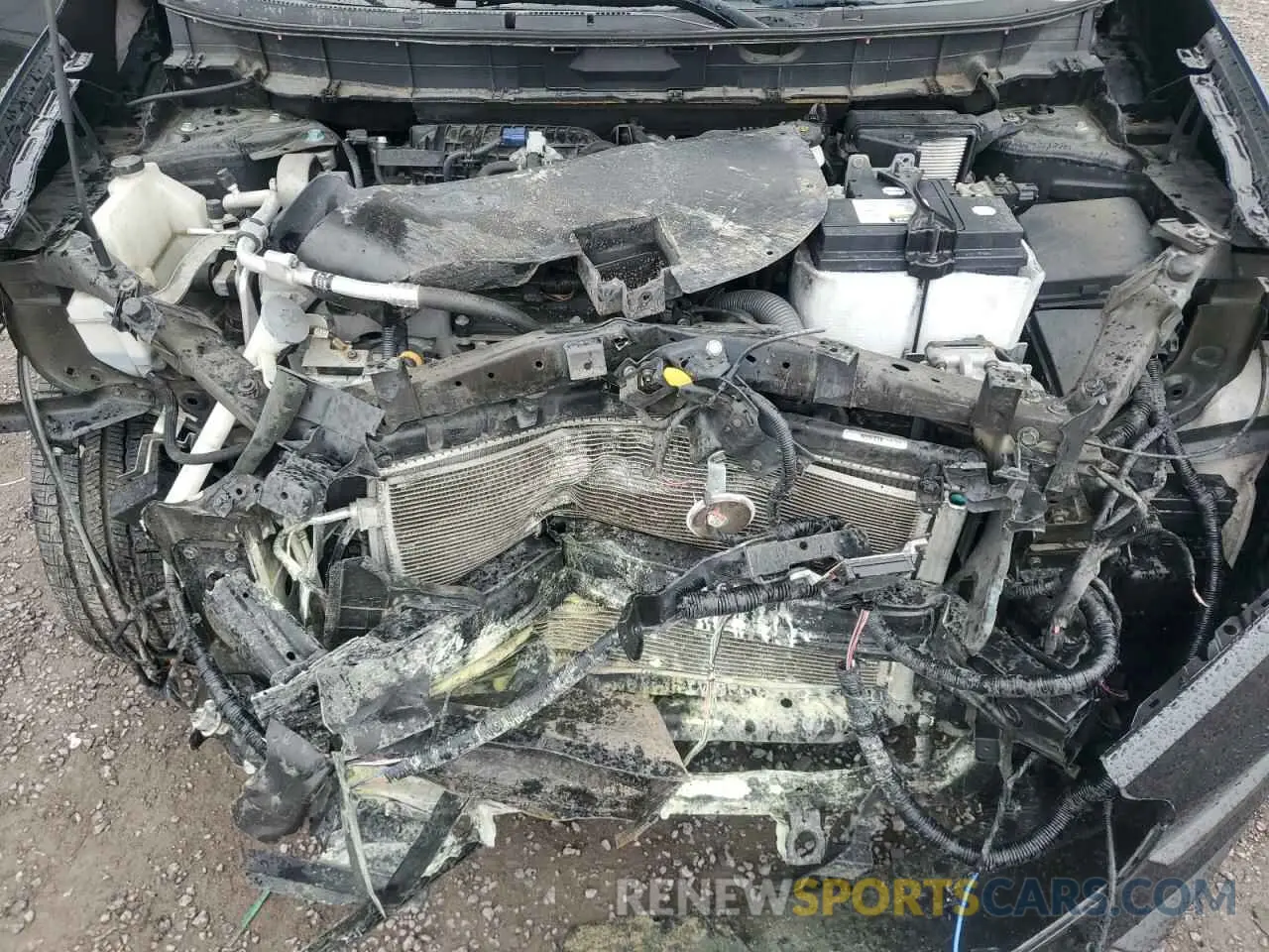 12 Photograph of a damaged car 5N1AT2MV2KC779850 NISSAN ROGUE 2019