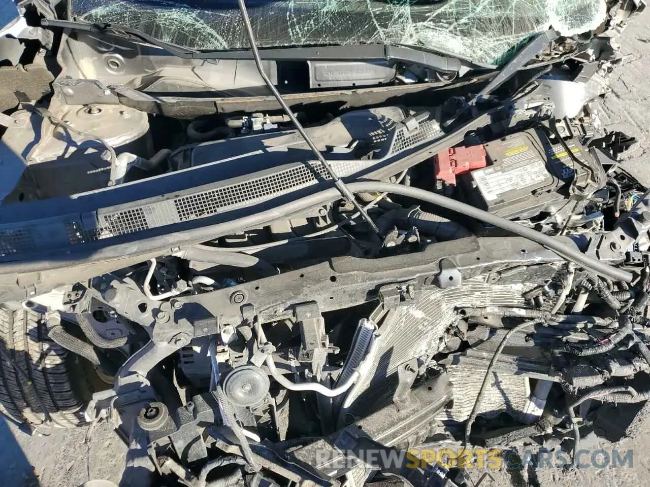 12 Photograph of a damaged car JN1BJ1CP6KW213221 NISSAN ROGUE 2019