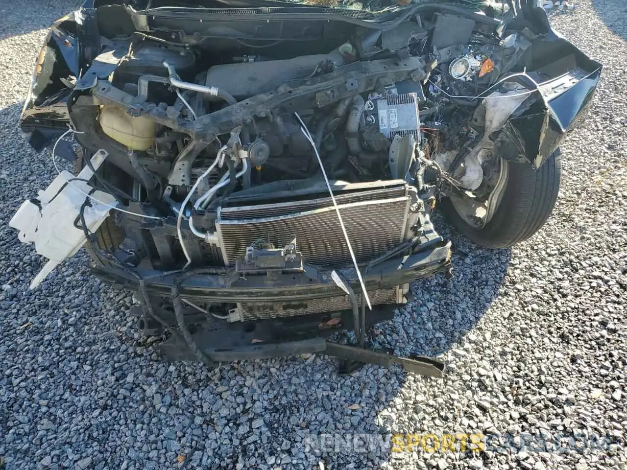 13 Photograph of a damaged car JN1BJ1CR3KW344351 NISSAN ROGUE 2019