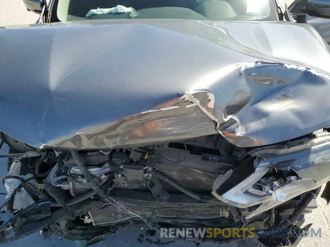 14 Photograph of a damaged car JN8AT2MV2KW395087 NISSAN ROGUE 2019