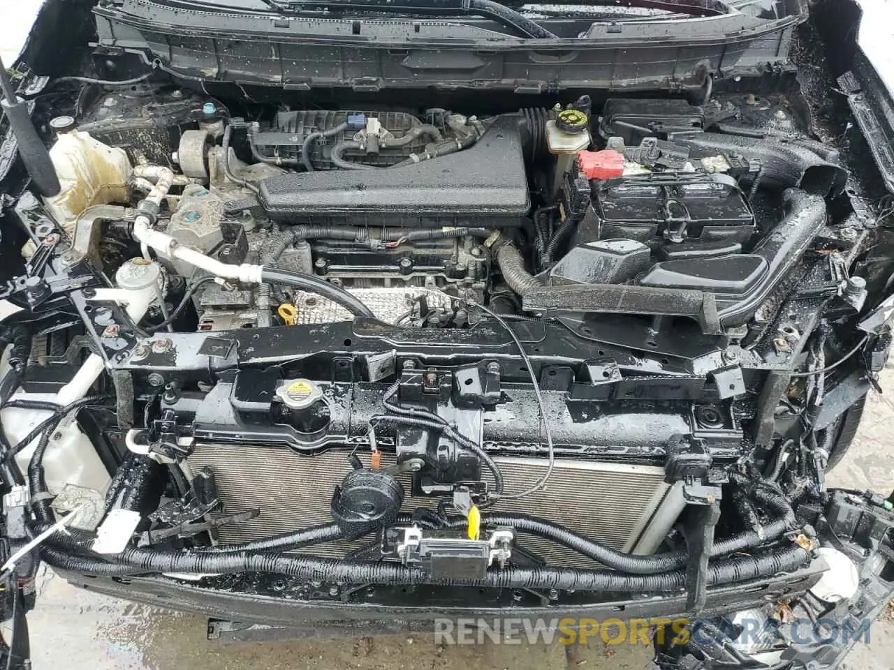 12 Photograph of a damaged car JN8AT2MV5KW377599 NISSAN ROGUE 2019