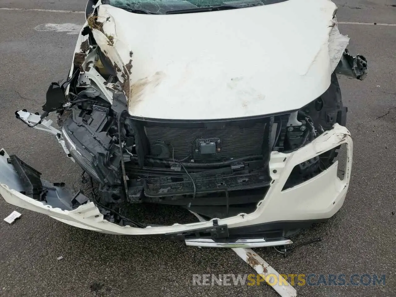 12 Photograph of a damaged car JN8AT3DDXMW302168 NISSAN ROGUE 2021