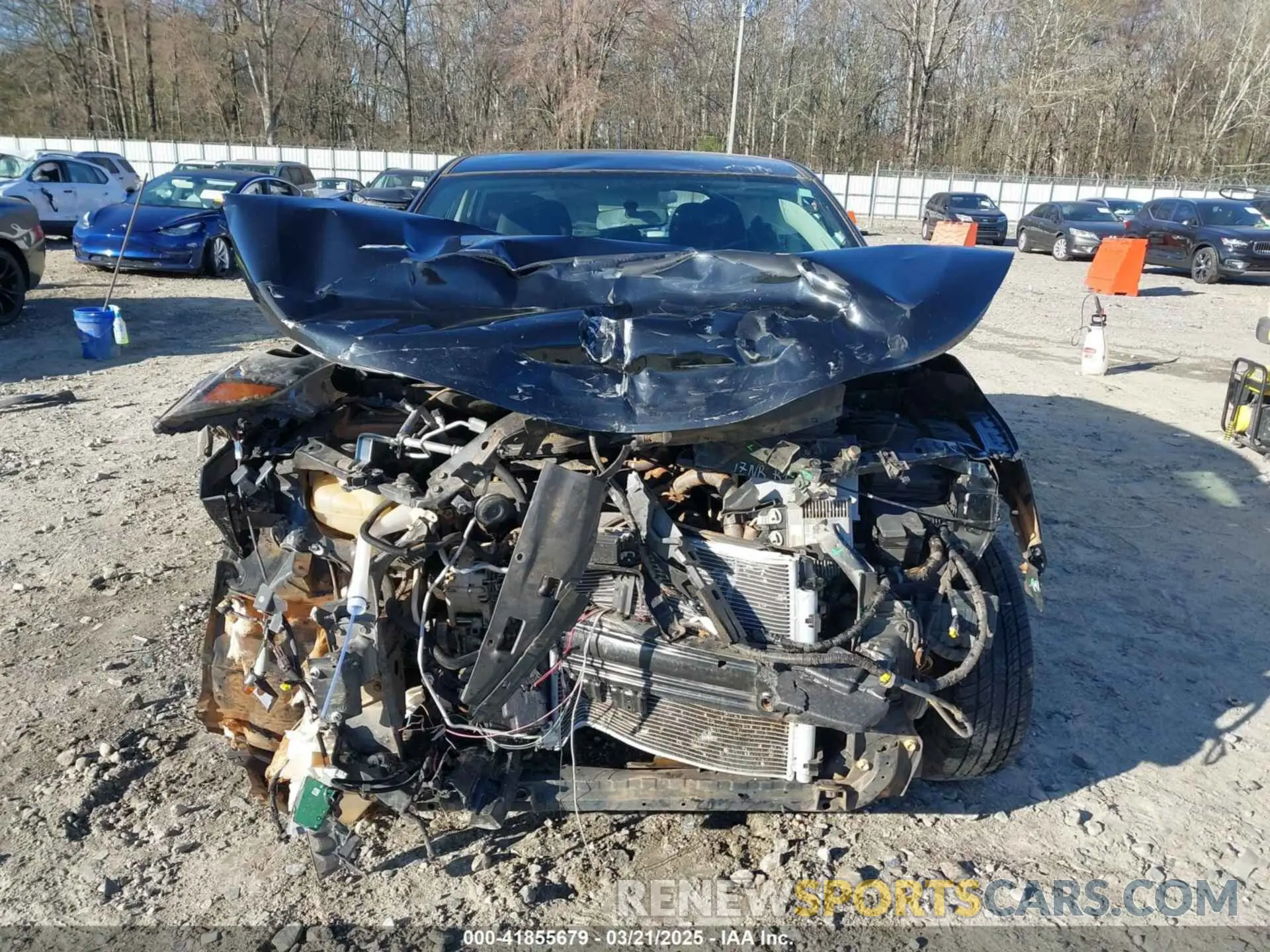 12 Photograph of a damaged car JN1BJ1CP5KW228289 NISSAN ROGUE SPORT 2019