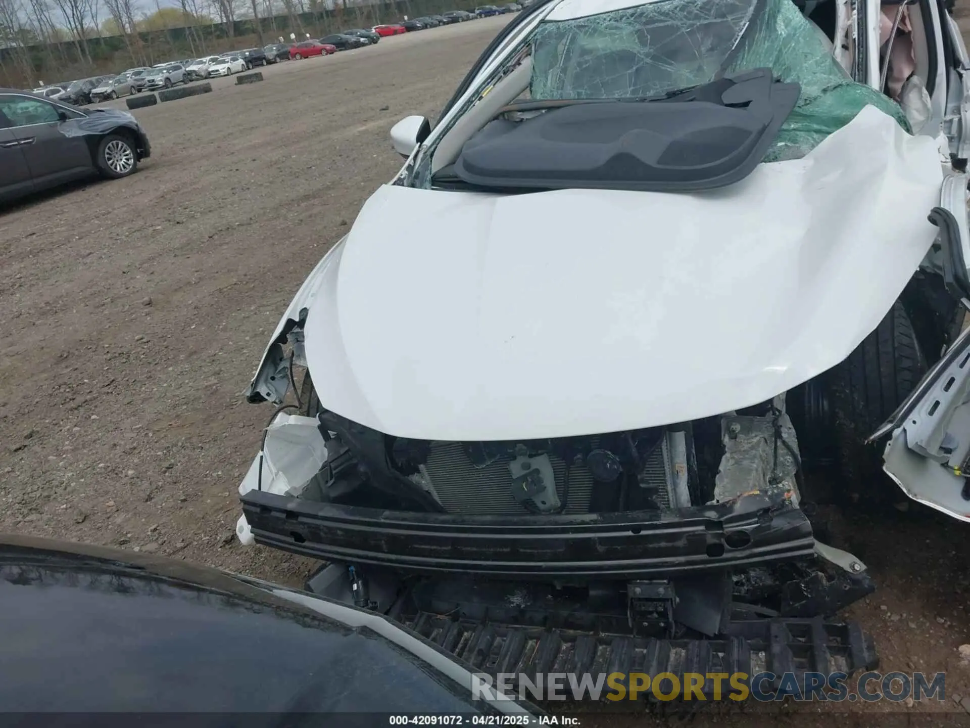 13 Photograph of a damaged car 3N1AB7AP0KY317713 NISSAN SENTRA 2019