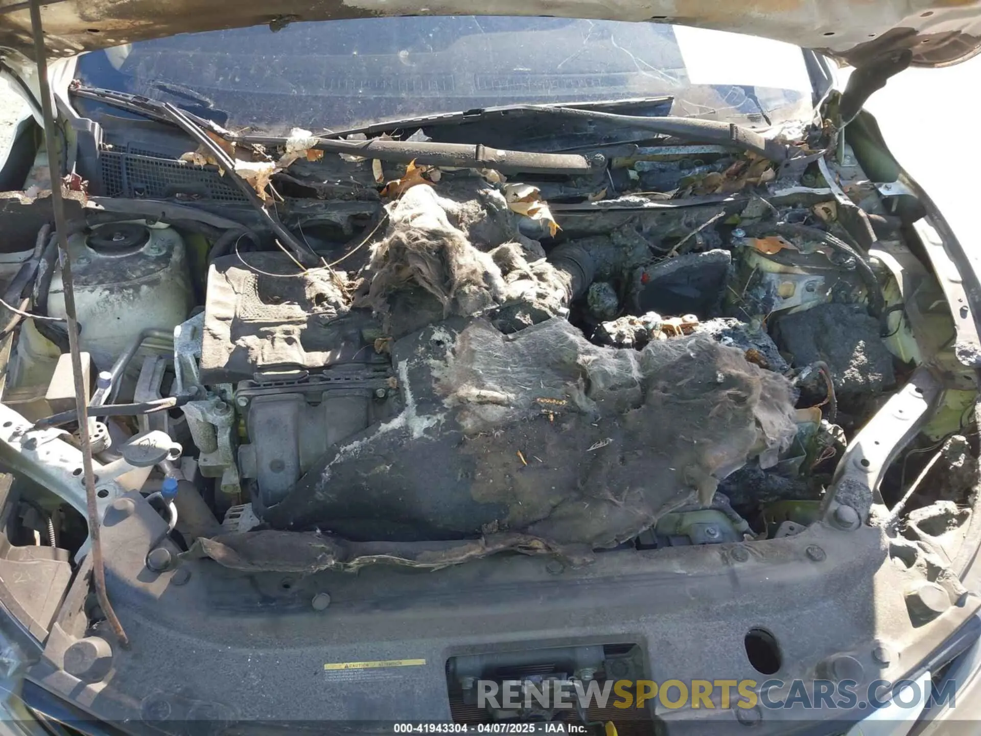 6 Photograph of a damaged car 3N1AB7AP1KY325707 NISSAN SENTRA 2019
