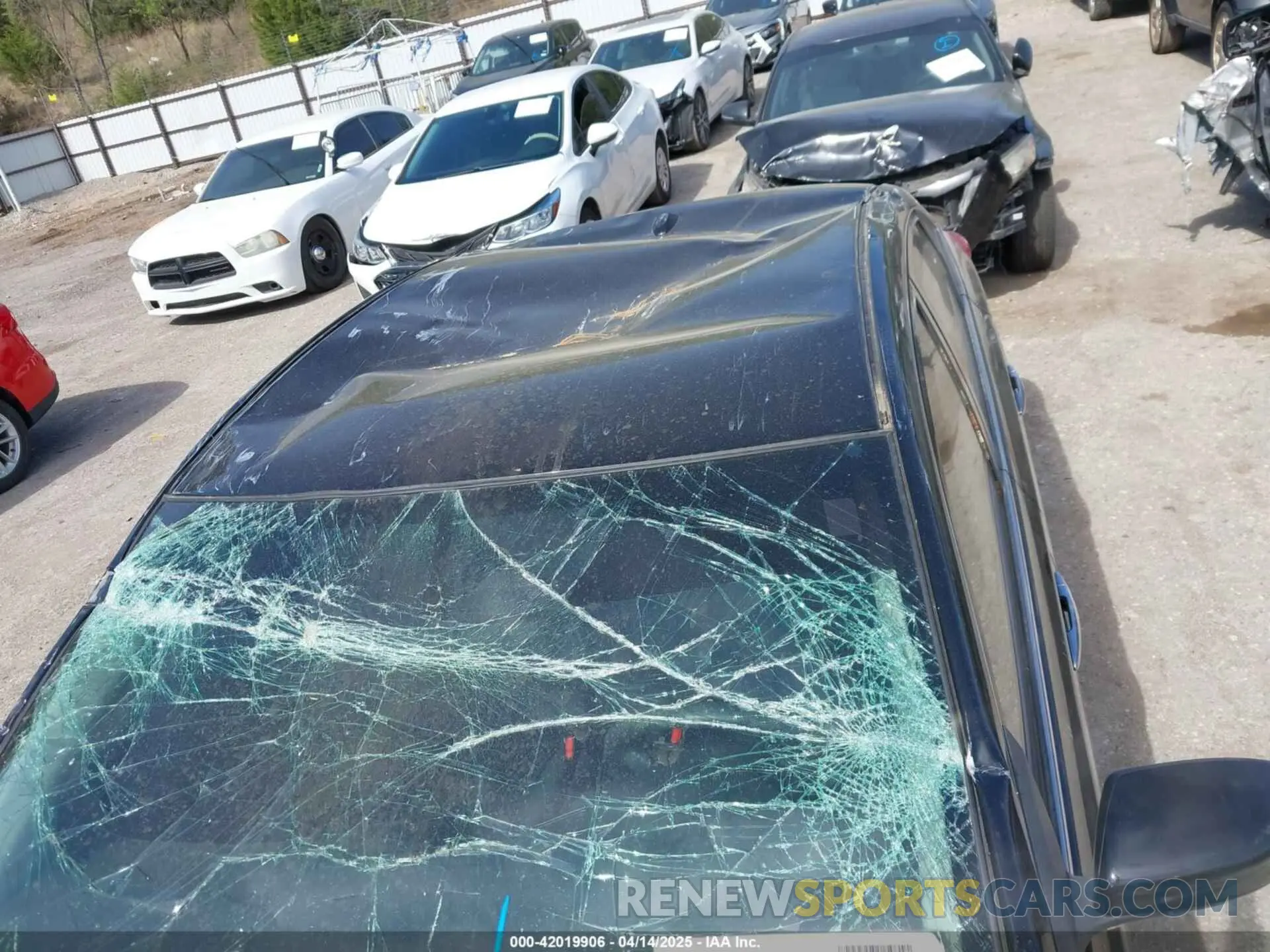 6 Photograph of a damaged car 3N1AB7AP6KY448838 NISSAN SENTRA 2019