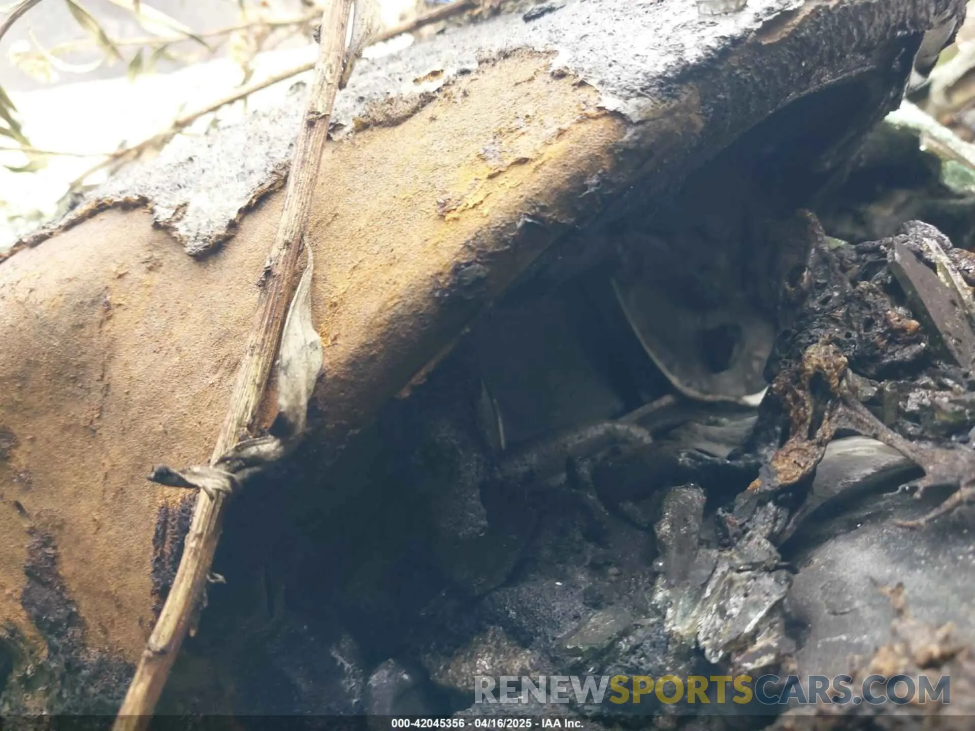 14 Photograph of a damaged car 3N1AB7AP7KY403889 NISSAN SENTRA 2019