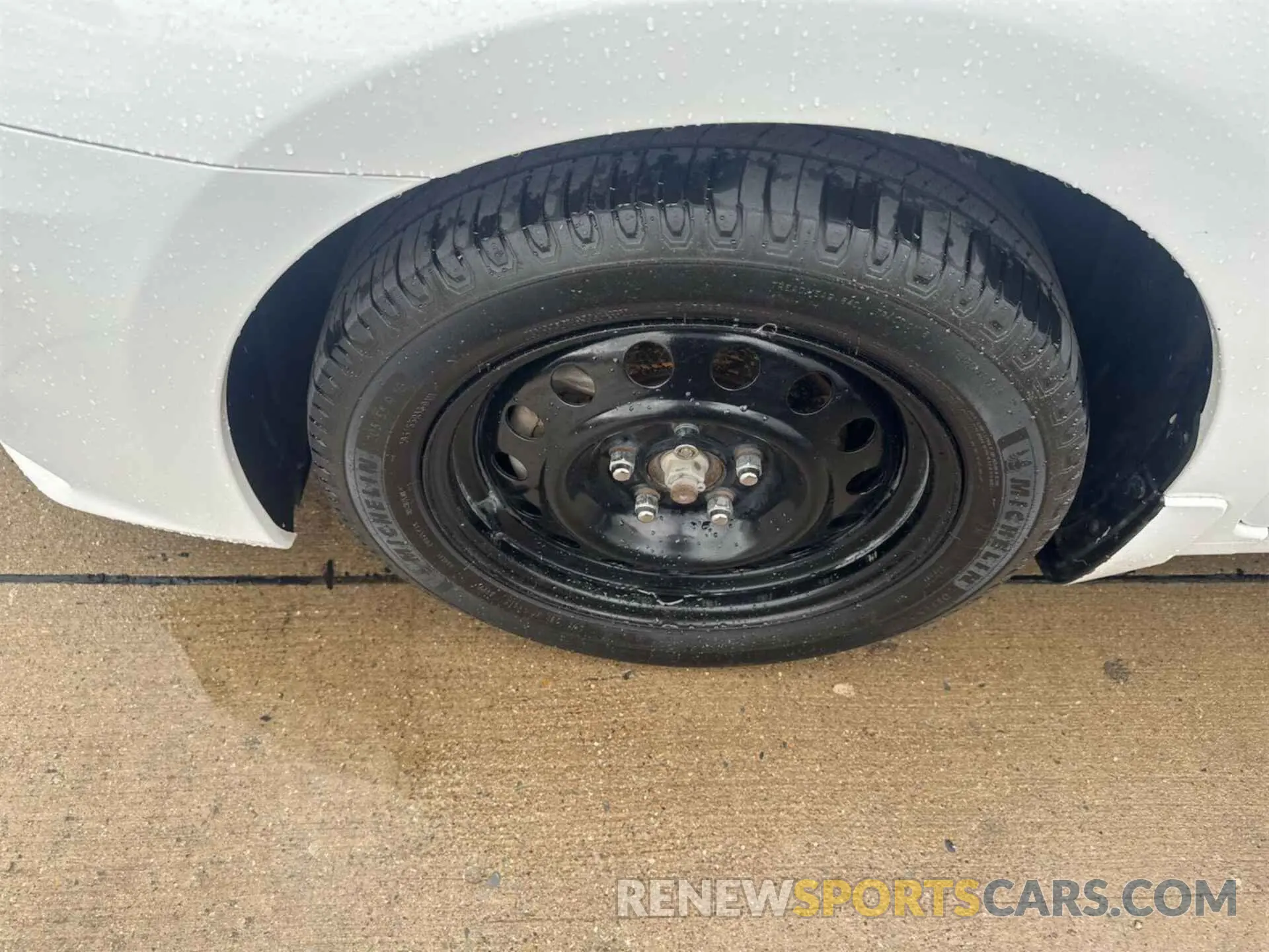 19 Photograph of a damaged car 3N1AB7AP7KY445172 NISSAN SENTRA 2019