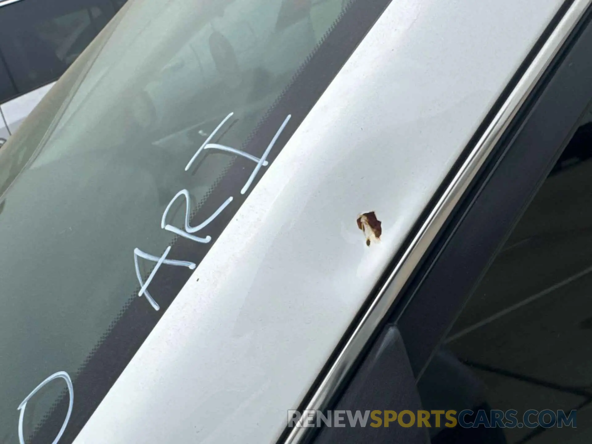 12 Photograph of a damaged car 3N1AB7AP8KY324621 NISSAN SENTRA 2019