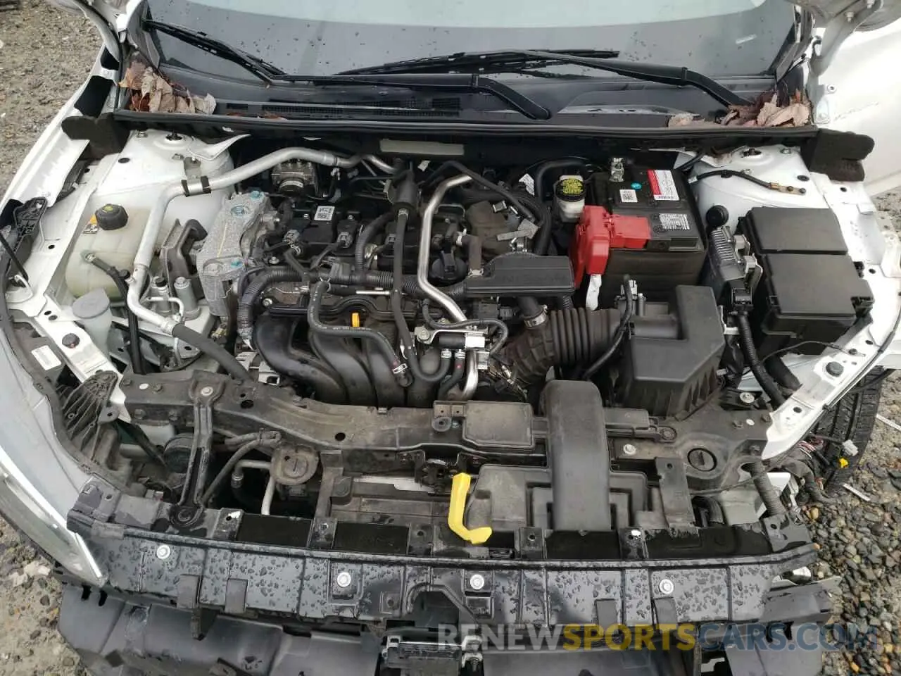 12 Photograph of a damaged car 3N1AB8BV7LY225907 NISSAN SENTRA 2020