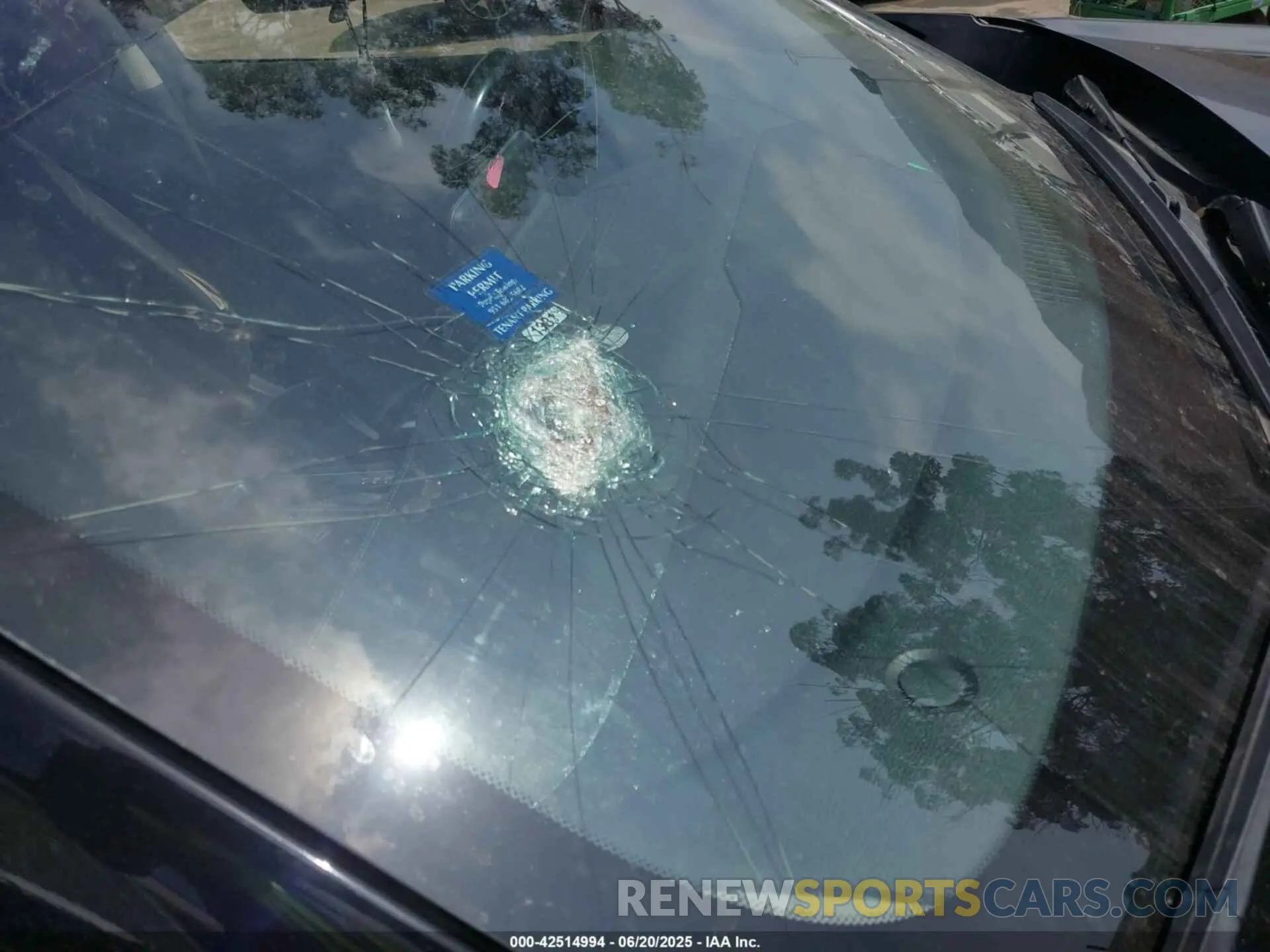 19 Photograph of a damaged car 3N1AB8CV8NY321207 NISSAN SENTRA 2022
