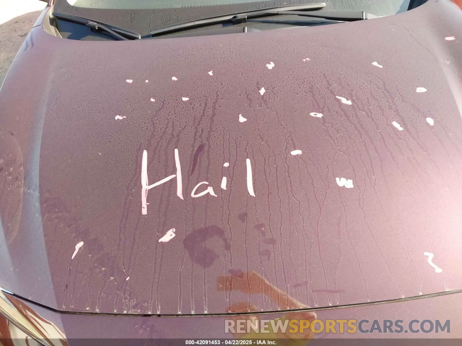 6 Photograph of a damaged car 3N1AB8CV1PY286965 NISSAN SENTRA 2023