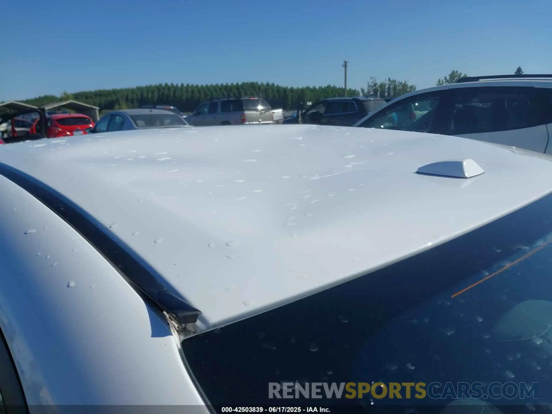 17 Photograph of a damaged car 3N1AB8CV3RY351009 NISSAN SENTRA 2024