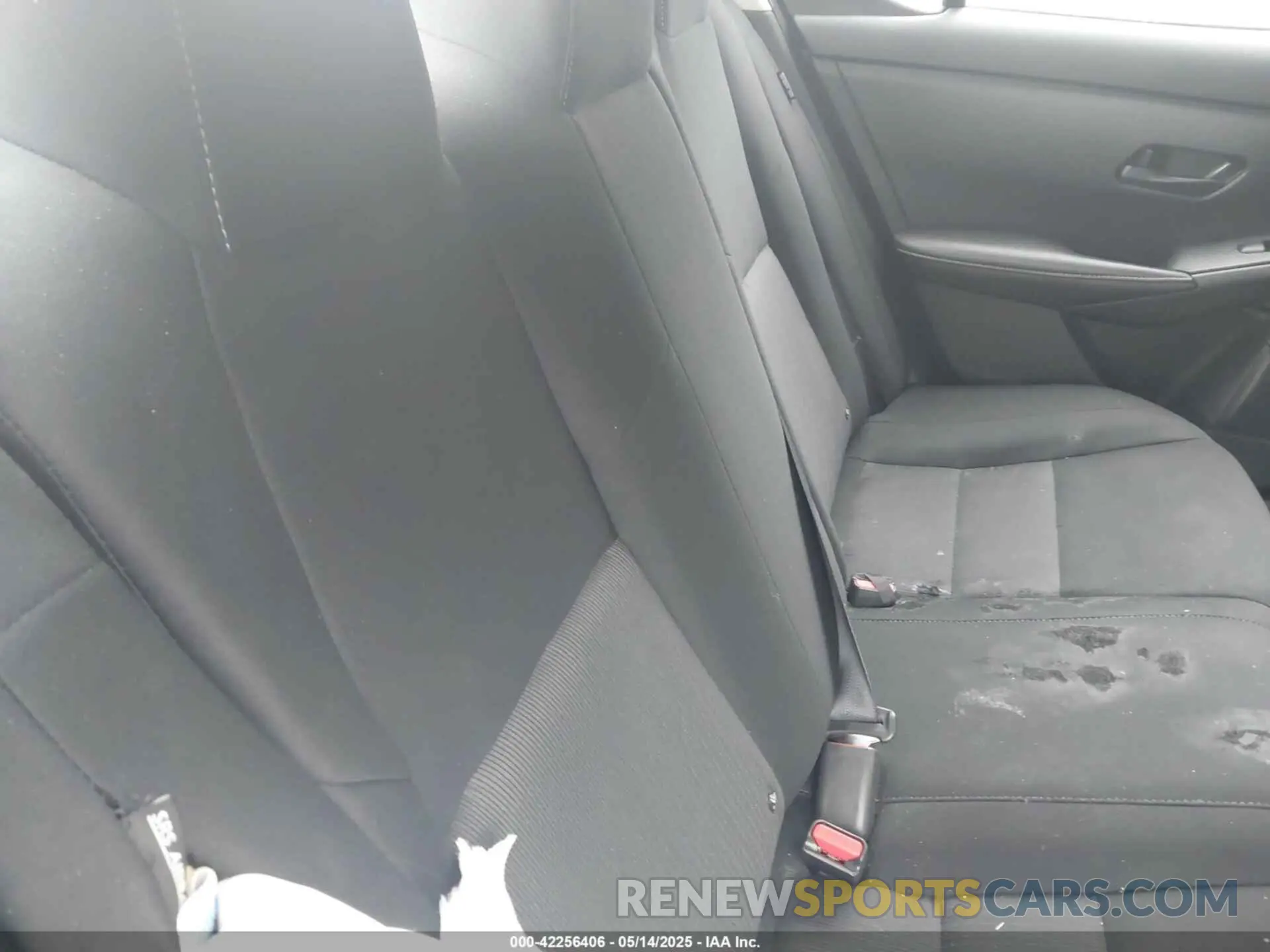 8 Photograph of a damaged car 3N1AB8CV8RY353385 NISSAN SENTRA 2024