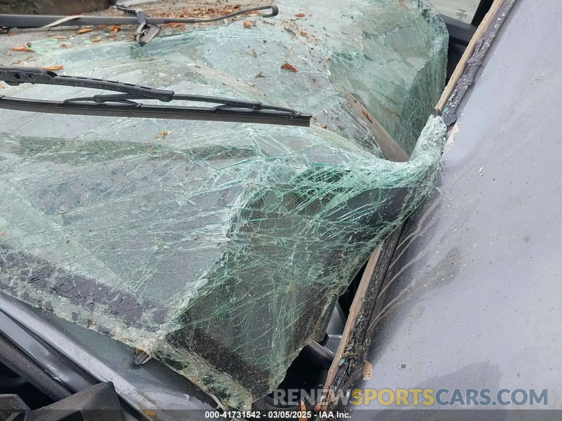 14 Photograph of a damaged car 3N1CN8EV1ML831150 NISSAN VERSA 2021