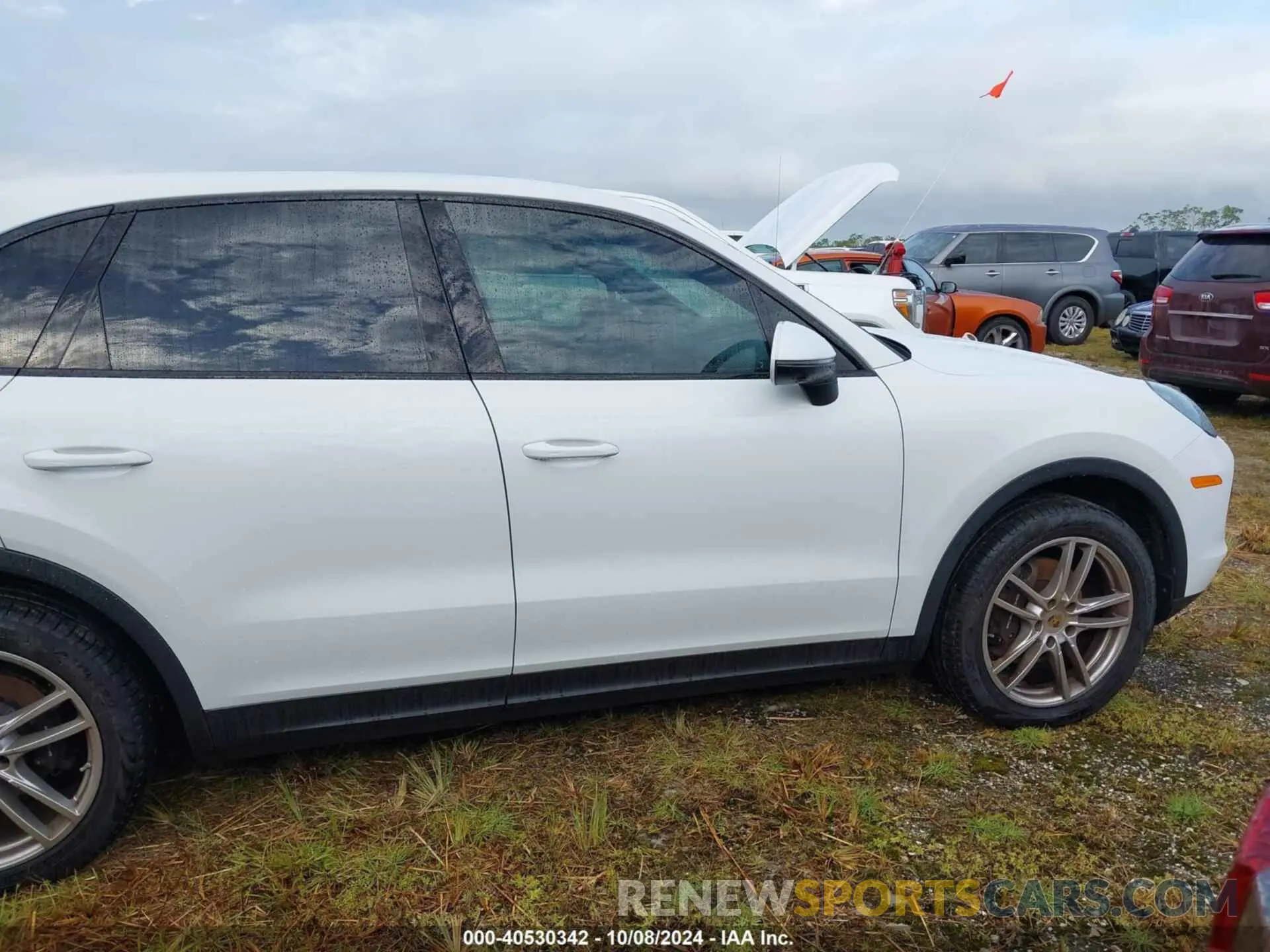 13 Photograph of a damaged car WP1AA2AY5KDA14133 PORSCHE CAYENNE 2019