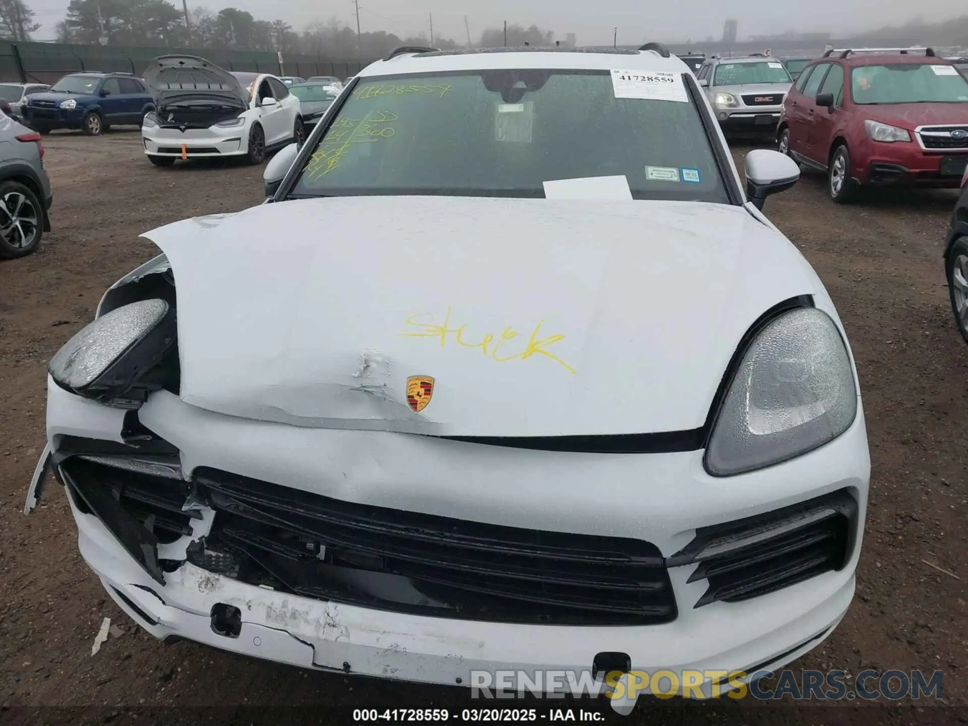 12 Photograph of a damaged car WP1AA2AY4PDA04474 PORSCHE CAYENNE 2023
