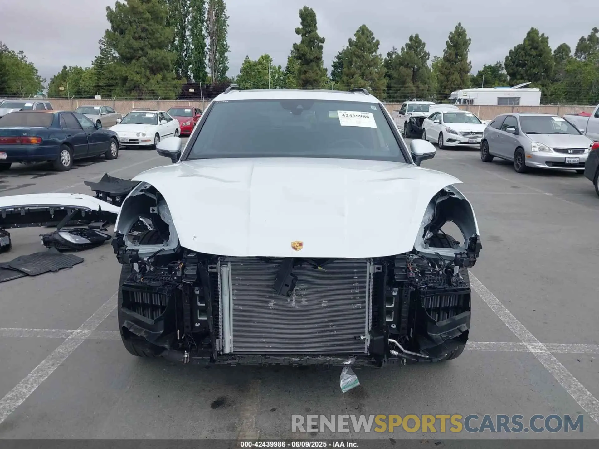 13 Photograph of a damaged car WP1AA2AY6RDA14314 PORSCHE CAYENNE 2024