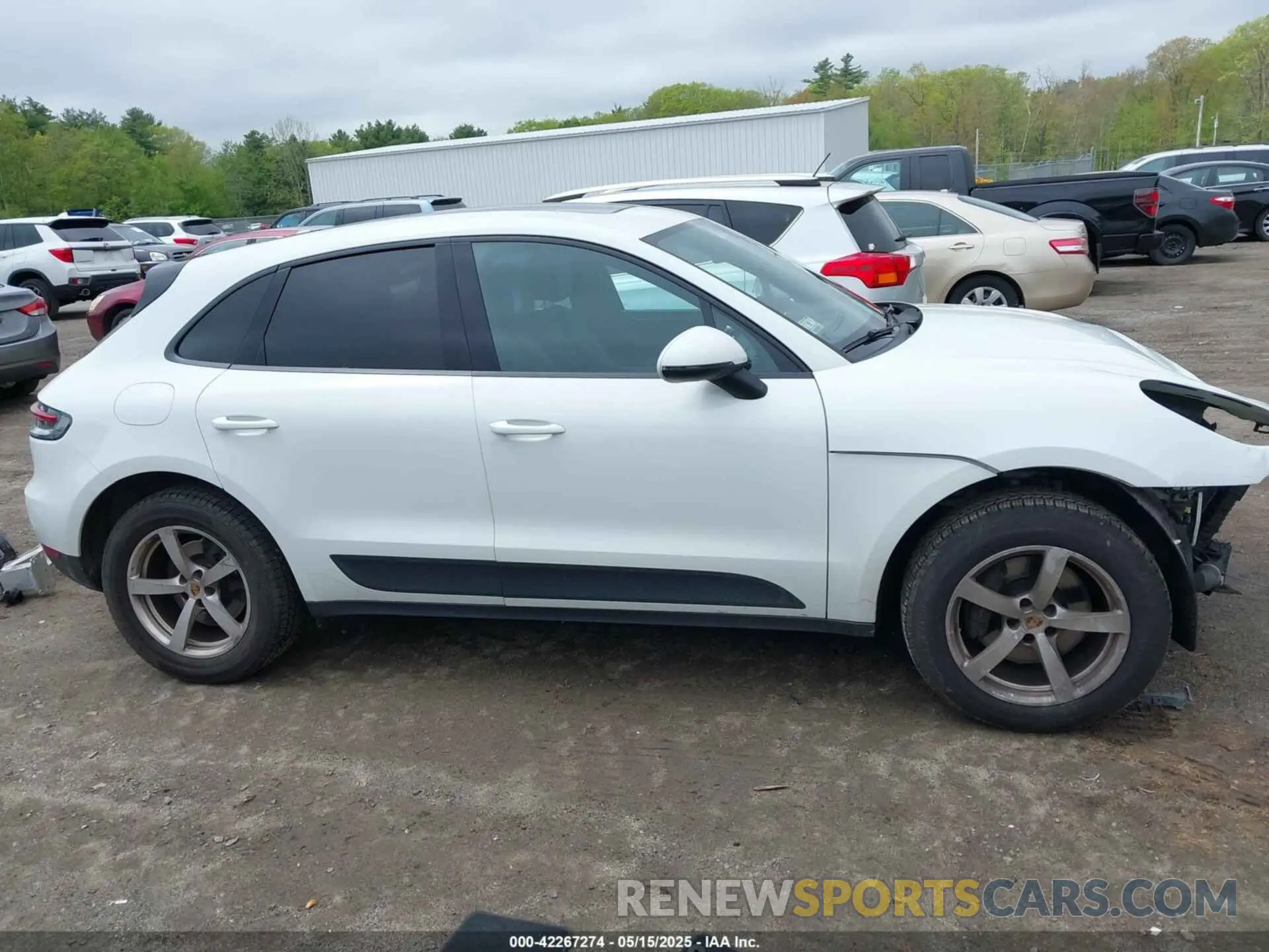14 Photograph of a damaged car WP1AA2A56LLB10625 PORSCHE MACAN 2020