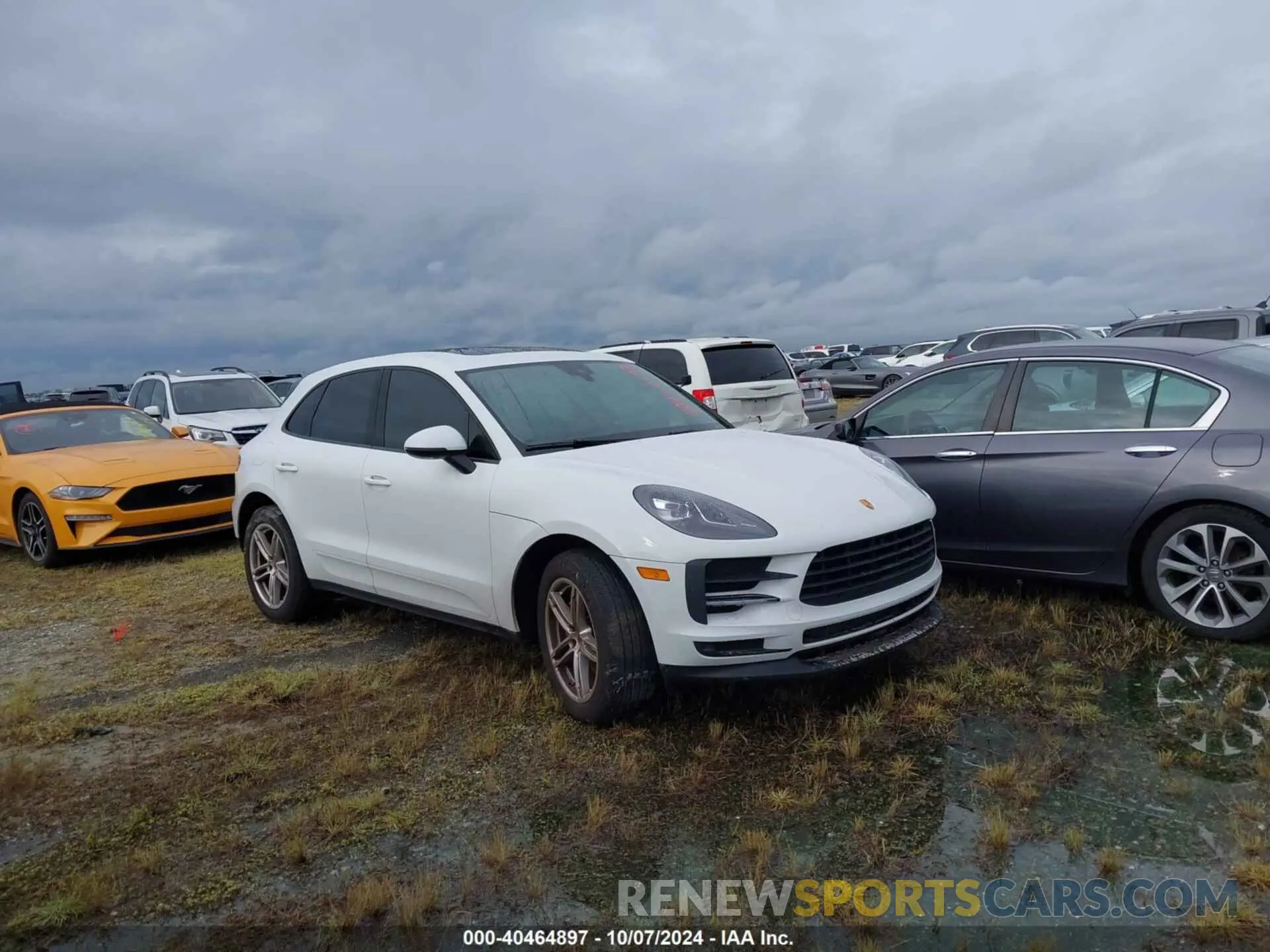 1 Photograph of a damaged car WP1AA2A51MLB09576 PORSCHE MACAN 2021