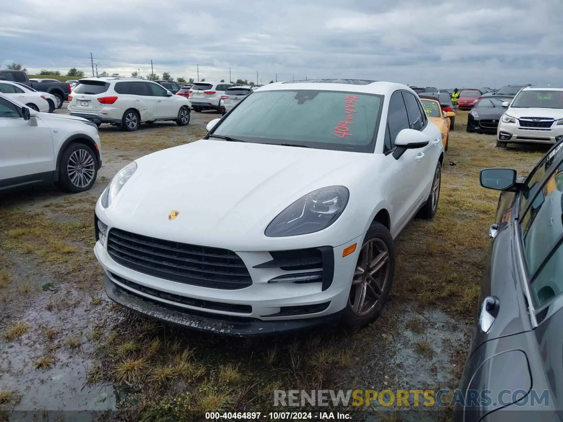 2 Photograph of a damaged car WP1AA2A51MLB09576 PORSCHE MACAN 2021