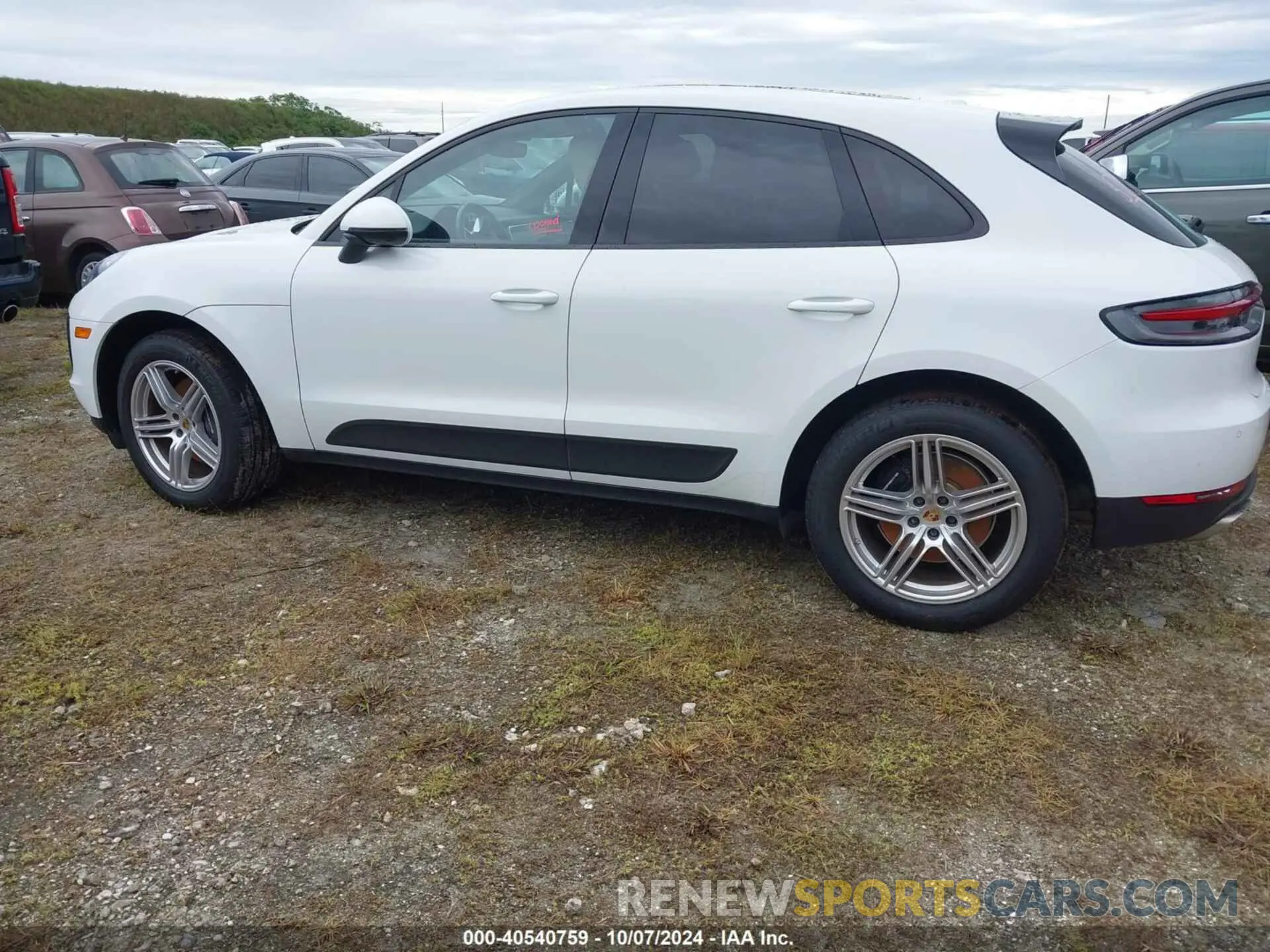 13 Photograph of a damaged car WP1AA2A57MLB00302 PORSCHE MACAN 2021
