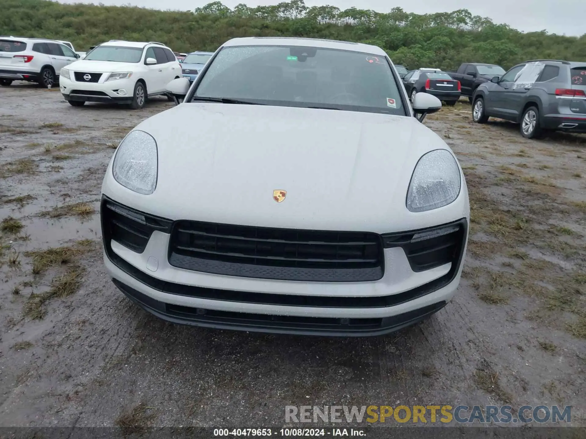 12 Photograph of a damaged car WP1AA2A51NLB09823 PORSCHE MACAN 2022