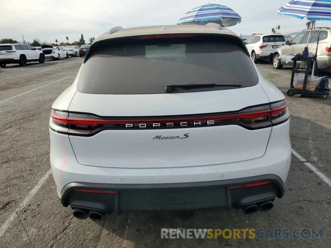 6 Photograph of a damaged car WP1AG2A50RLB35141 PORSCHE MACAN 2024