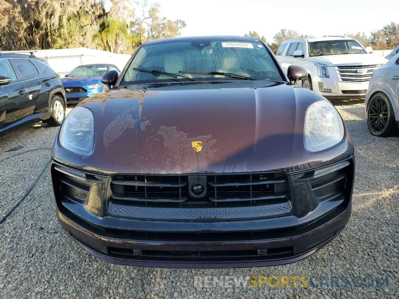 5 Photograph of a damaged car WP1AA2A54PLB15893 PORSCHE MACAN BASE 2023