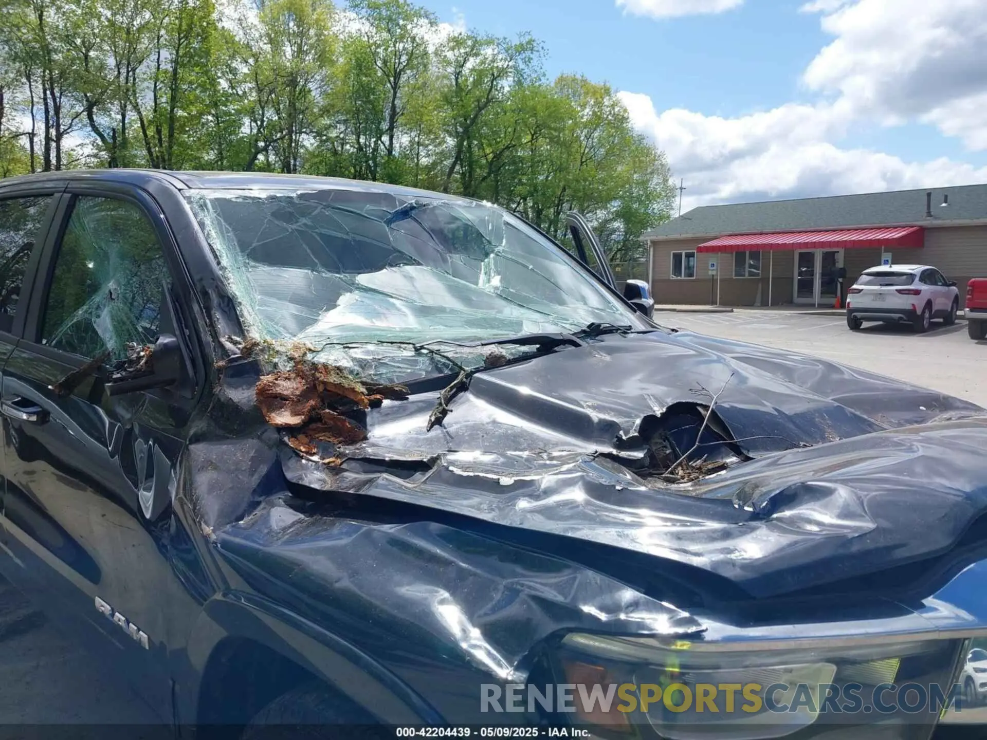 17 Photograph of a damaged car 1C6SRFJT1KN725291 RAM 1500 2019
