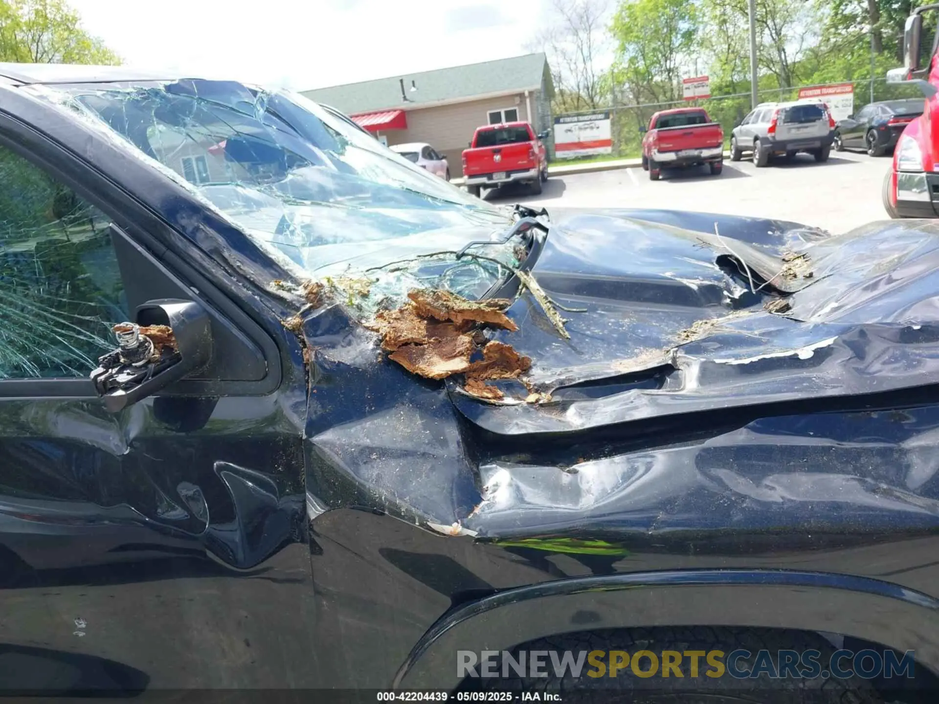 20 Photograph of a damaged car 1C6SRFJT1KN725291 RAM 1500 2019