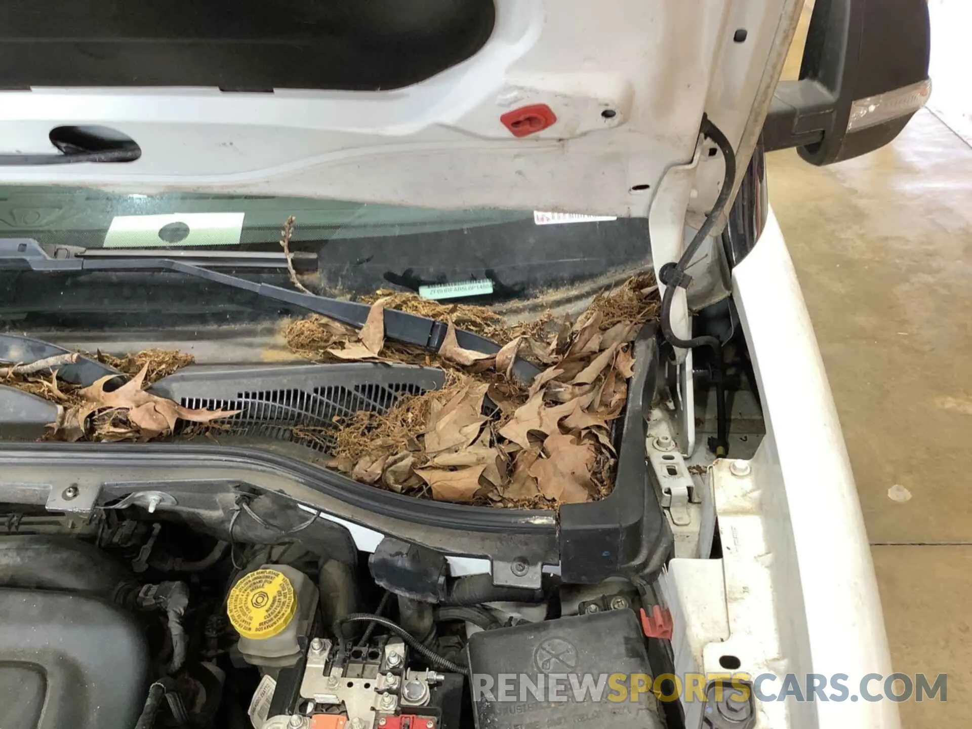 11 Photograph of a damaged car ZFBHRFAB5L6P14884 RAM PROMASTER CITY 2020