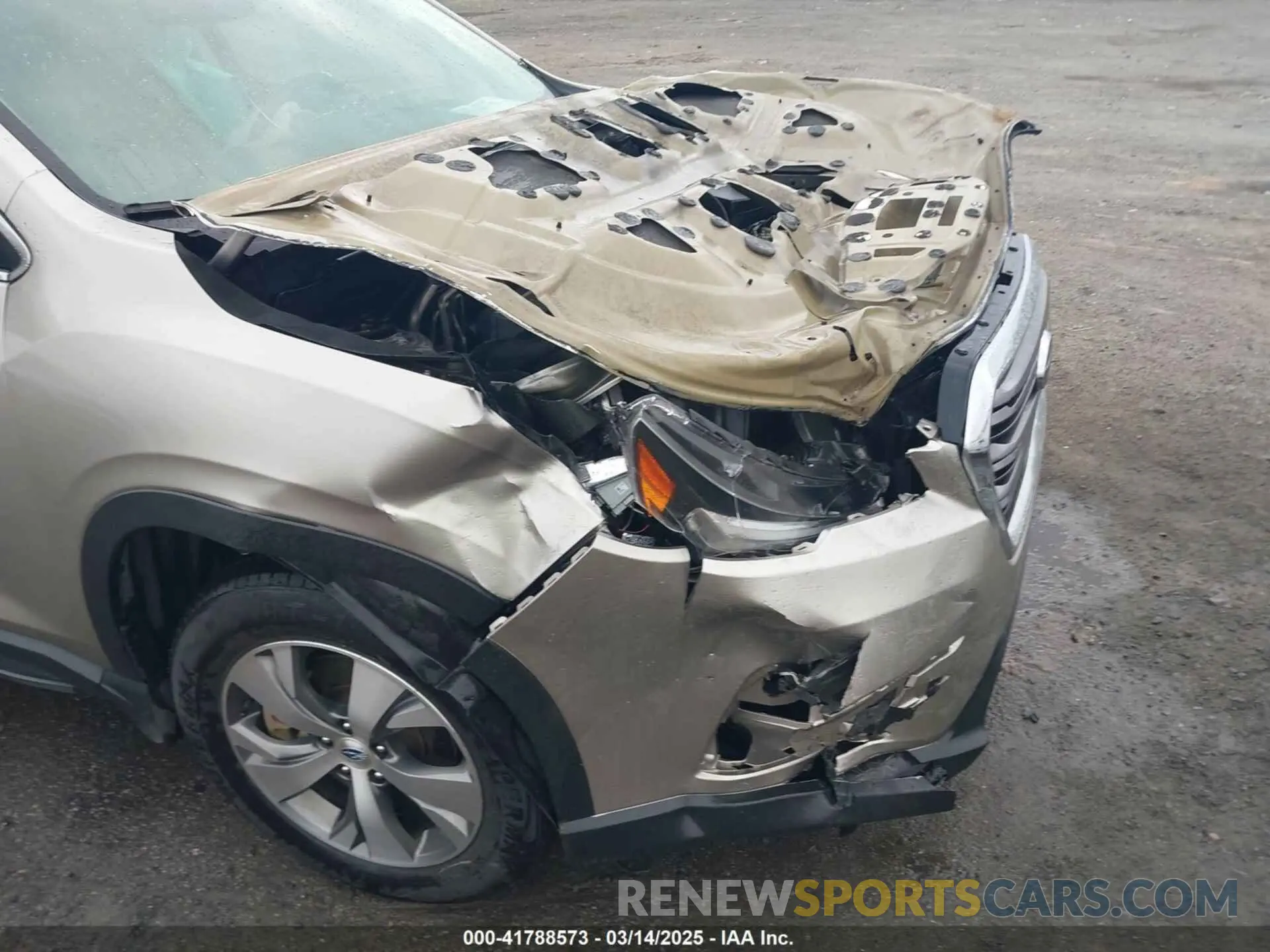 6 Photograph of a damaged car 4S4WMACD8K3489778 SUBARU ASCENT 2019